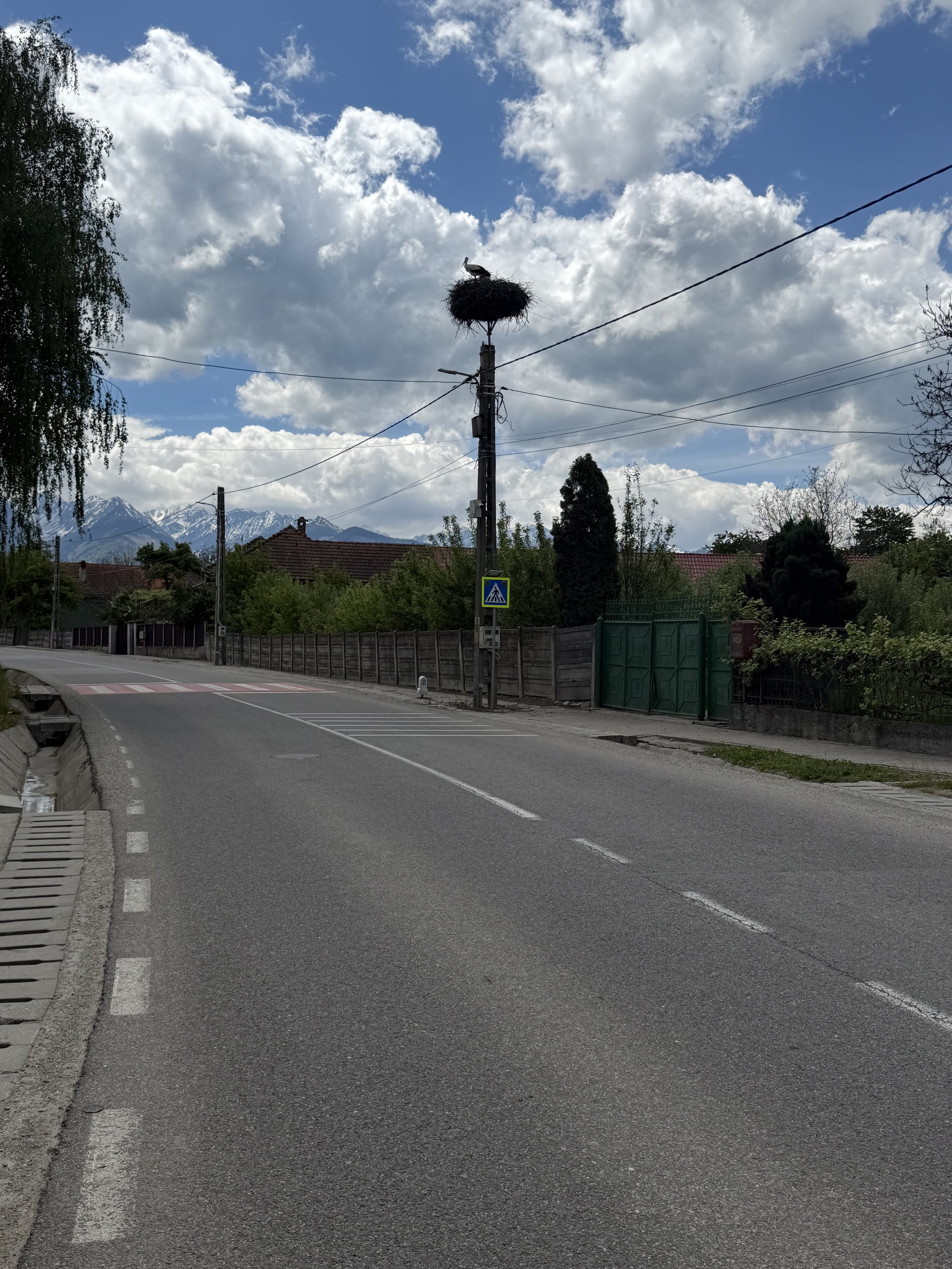 IMG_1303.jpeg