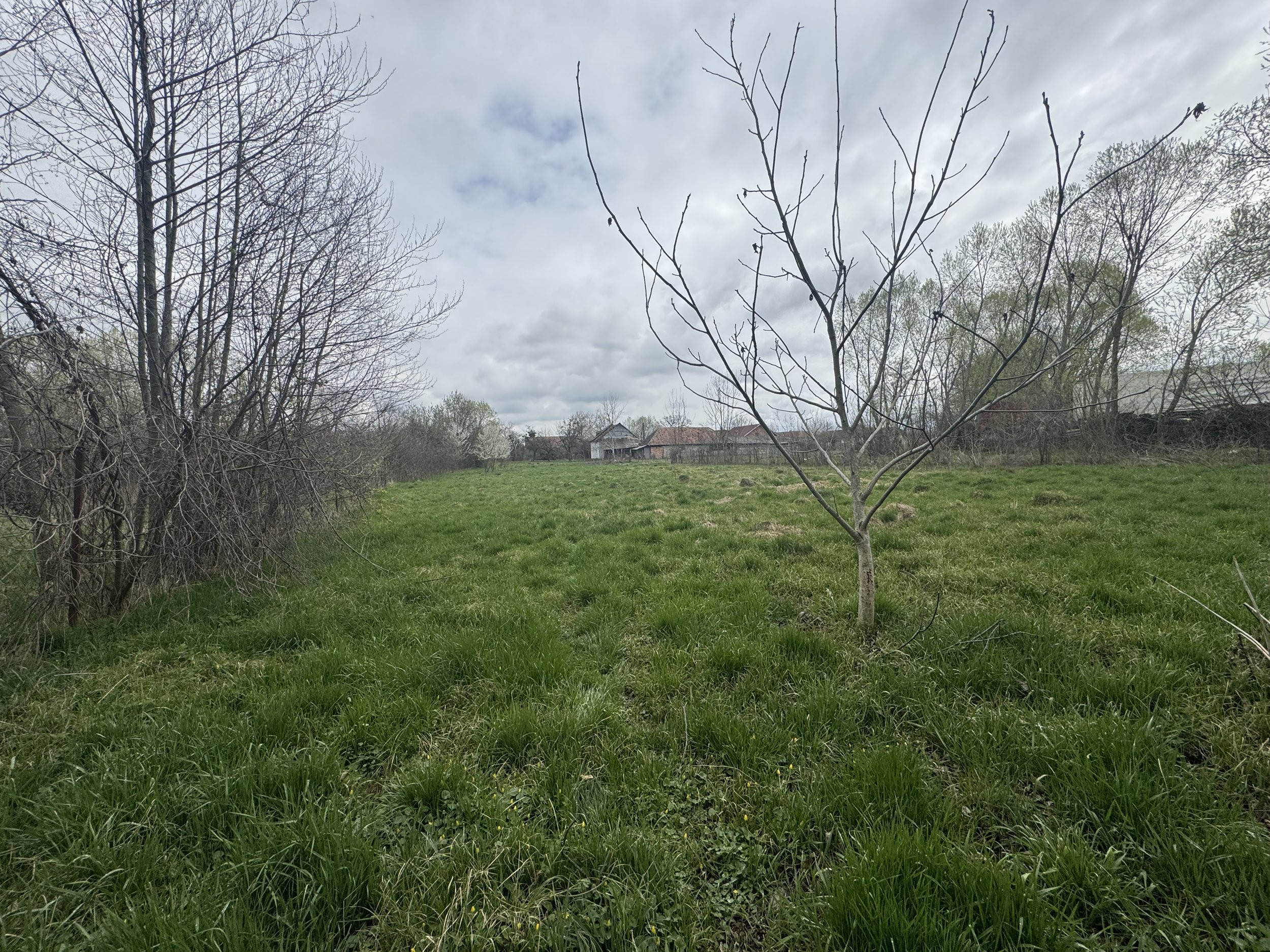IMG_4413.jpeg