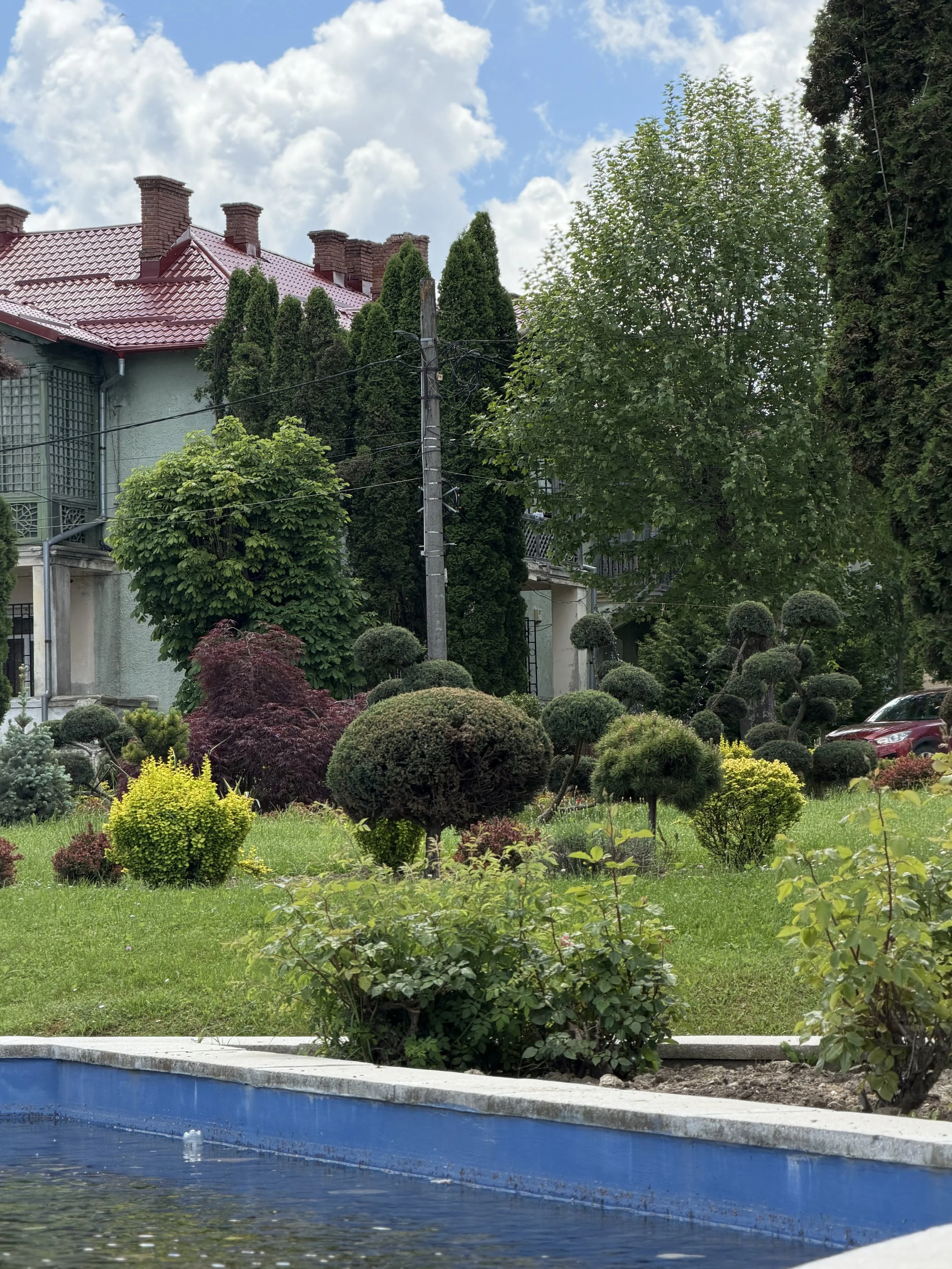 A backyard with a green lawn, various bushes, small trees, and some larger trees. In the background, there is a house with a red metal roof and multiple brick chimneys. A utility pole with wires is also visible. In the foreground, part of a blue swim