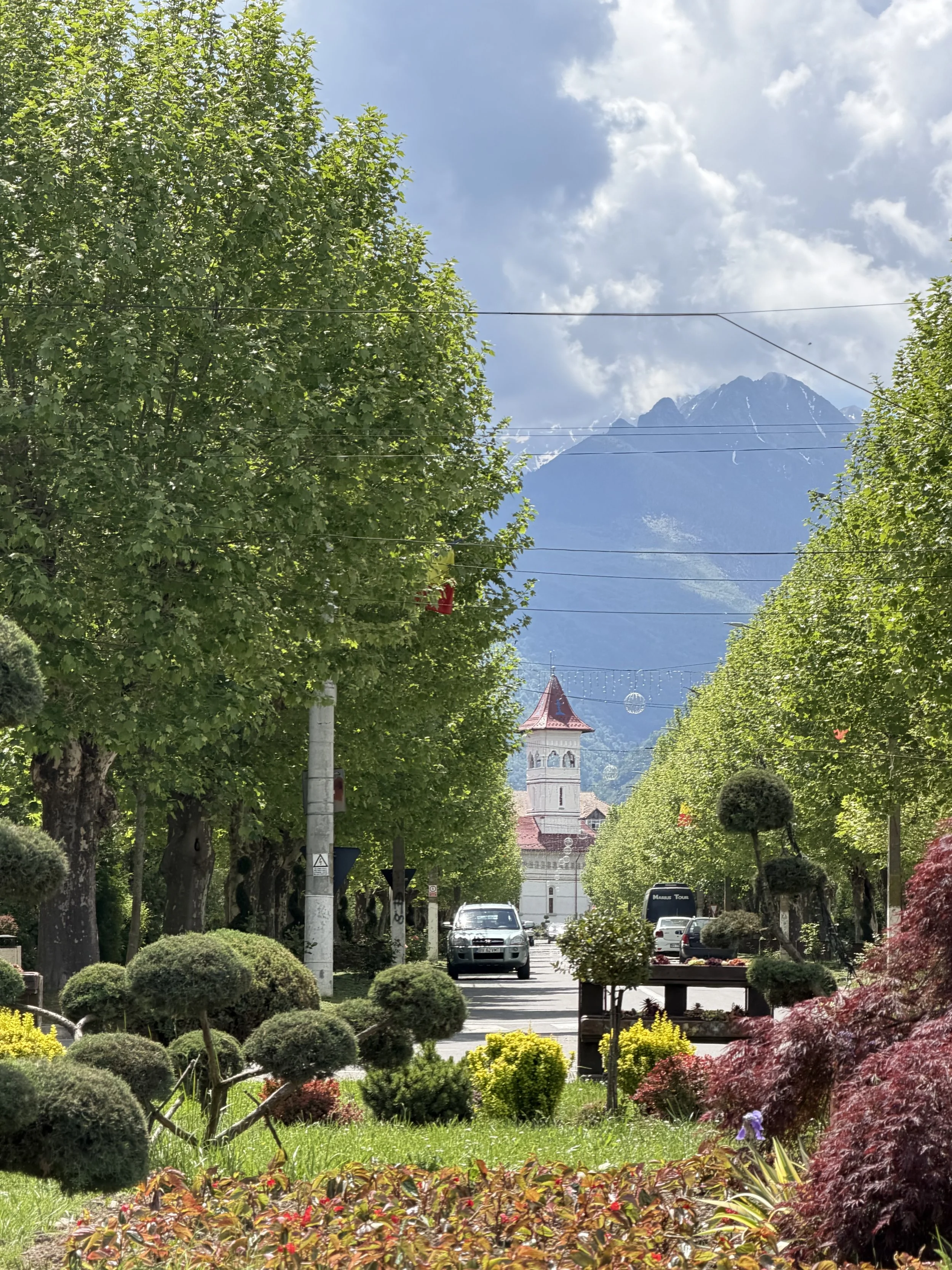 A tree-lined street with parked cars, a church, and a mountain in the background under a partly cloudy sky, with colorful plants and bushes in the foreground.