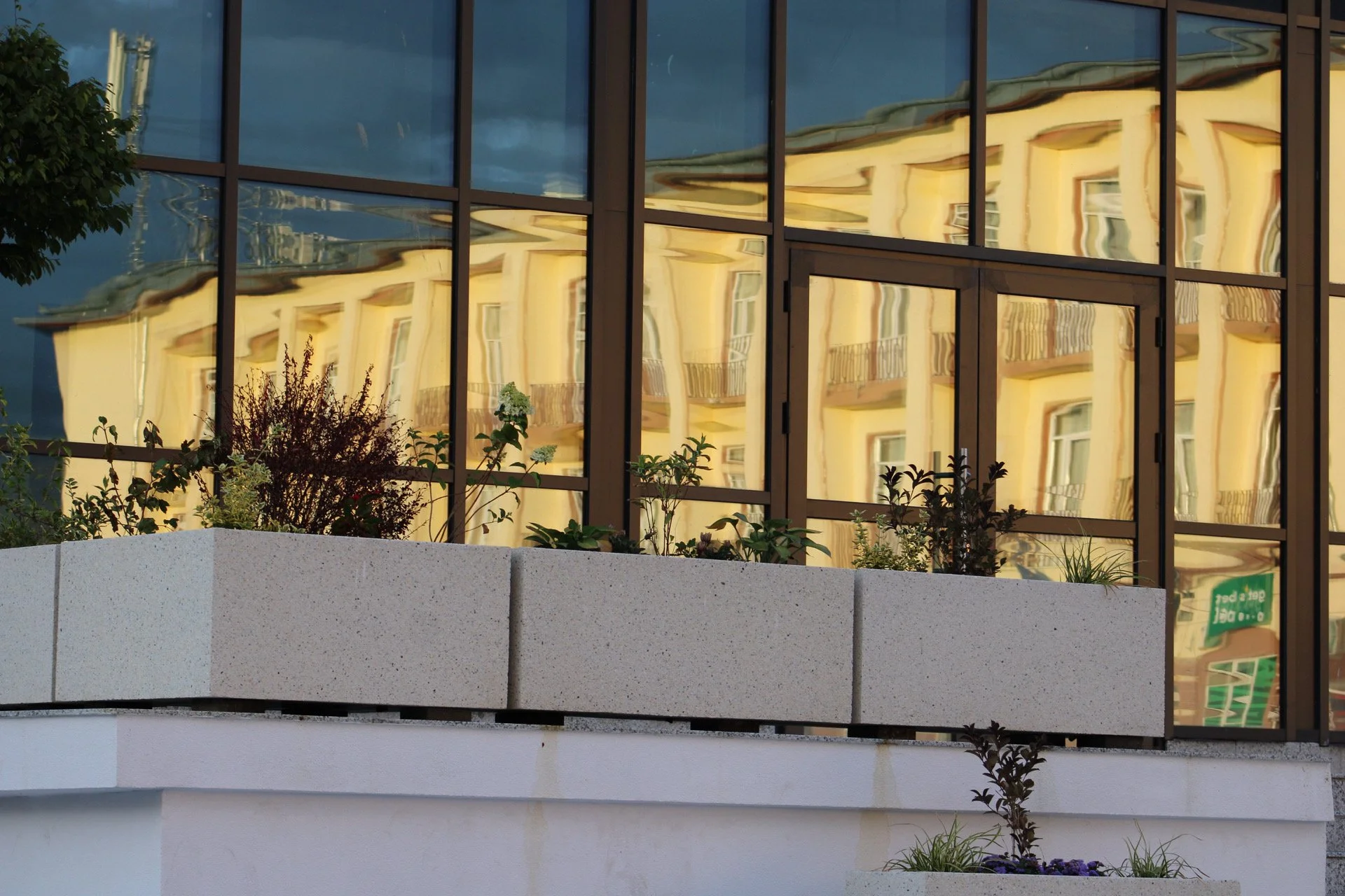 Reflection of a yellow building with white window frames and balconies in large glass windows of a modern building. There are plants and bushes in a white planter in the foreground.