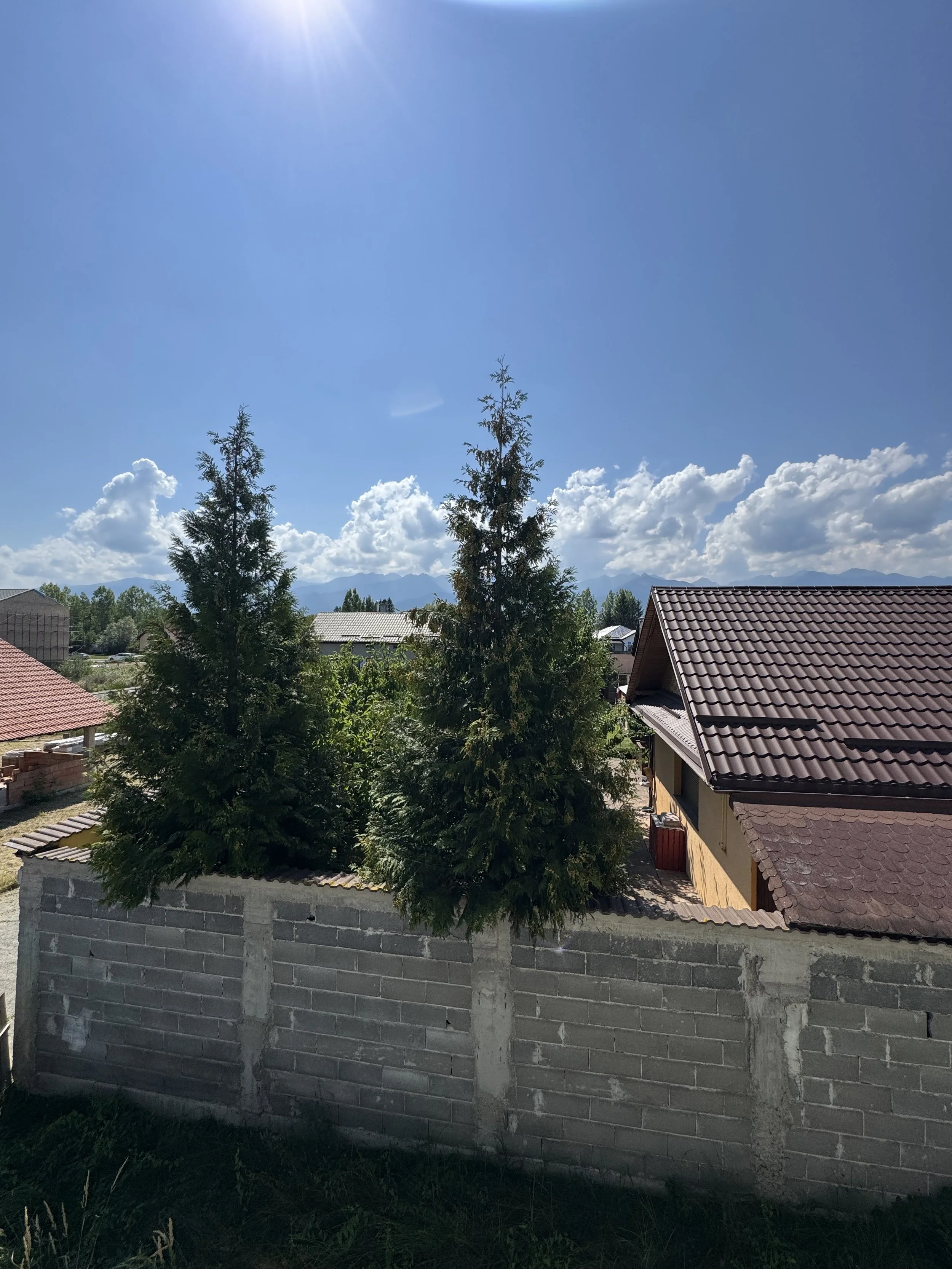 IMG_7434.jpeg