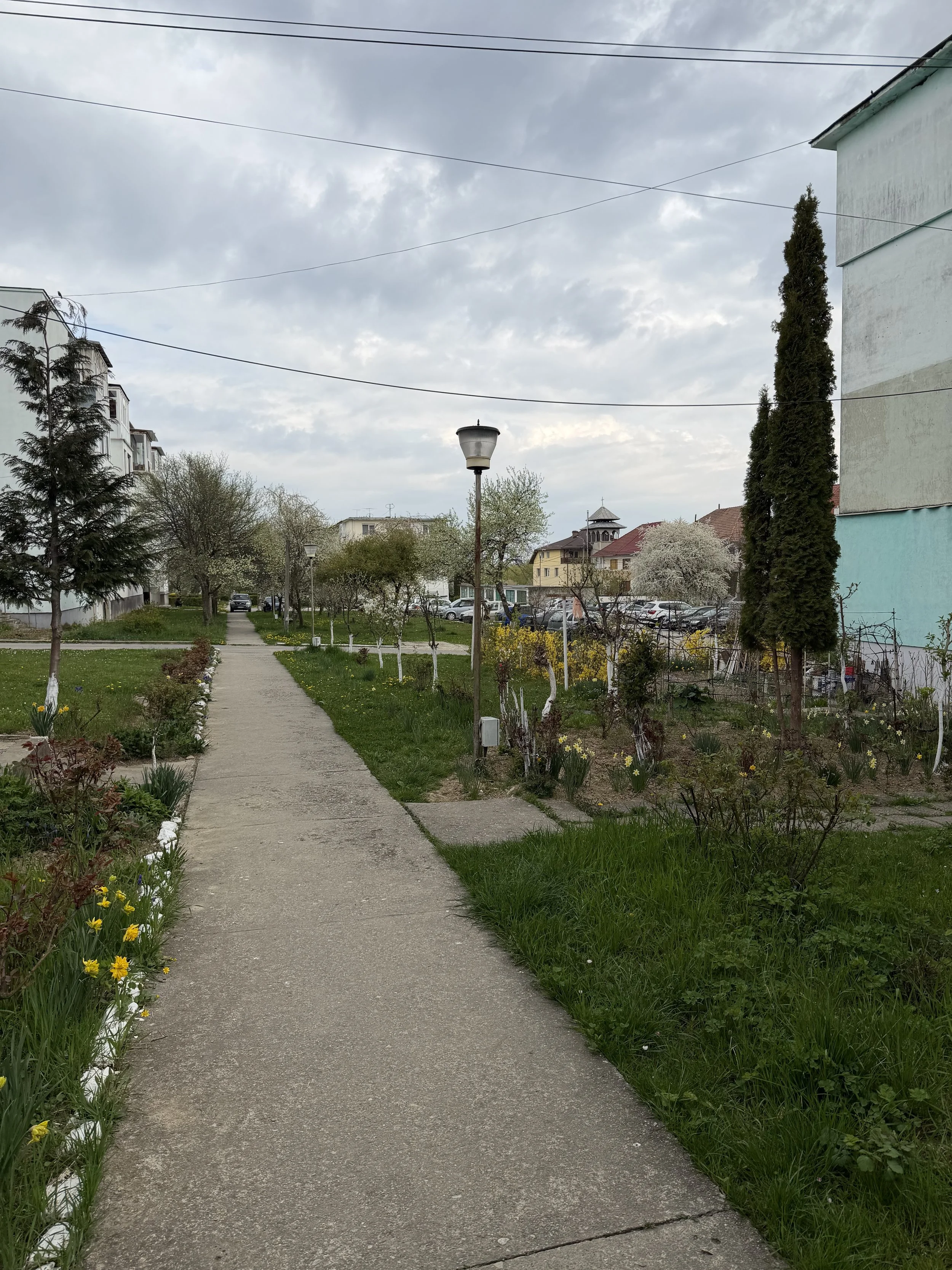 IMG_0623.jpeg