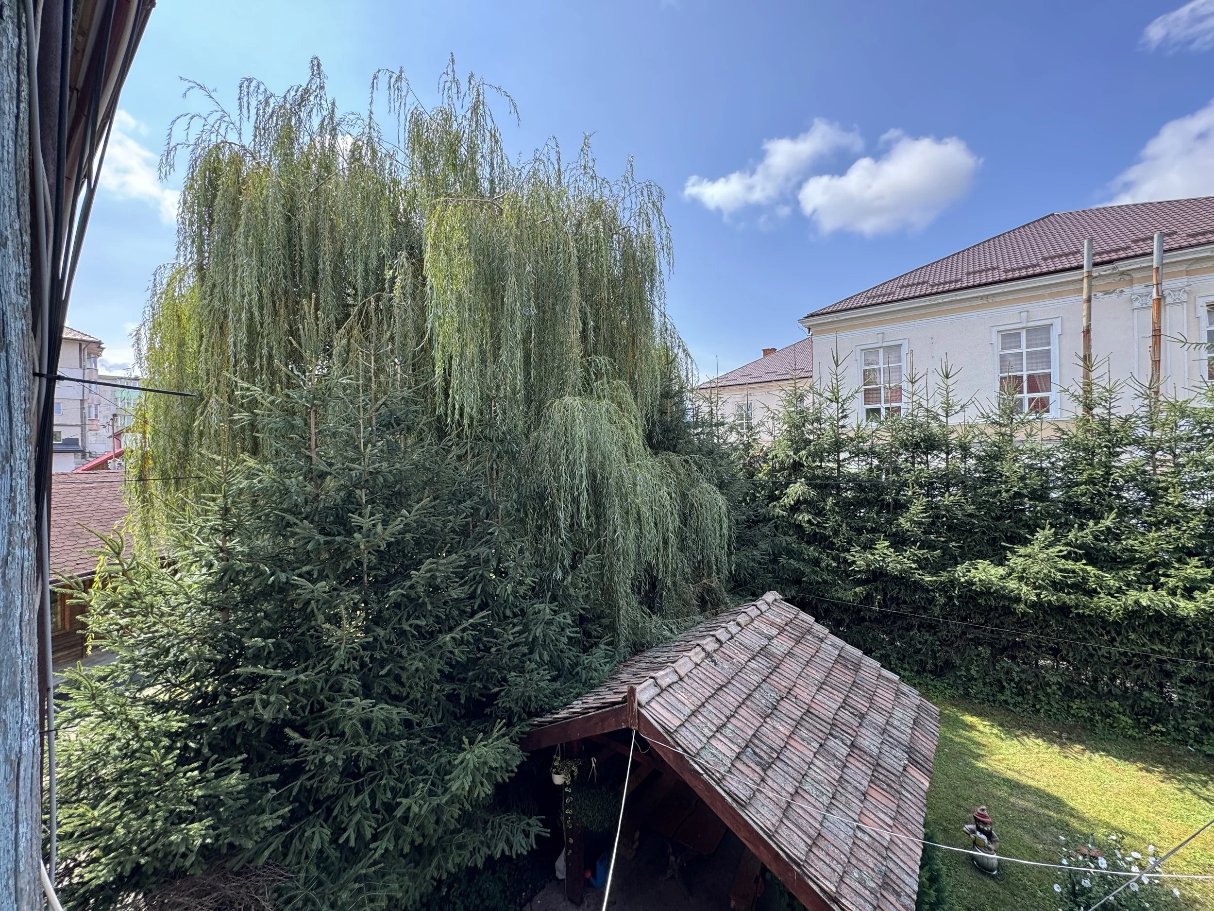 IMG_7903.jpeg