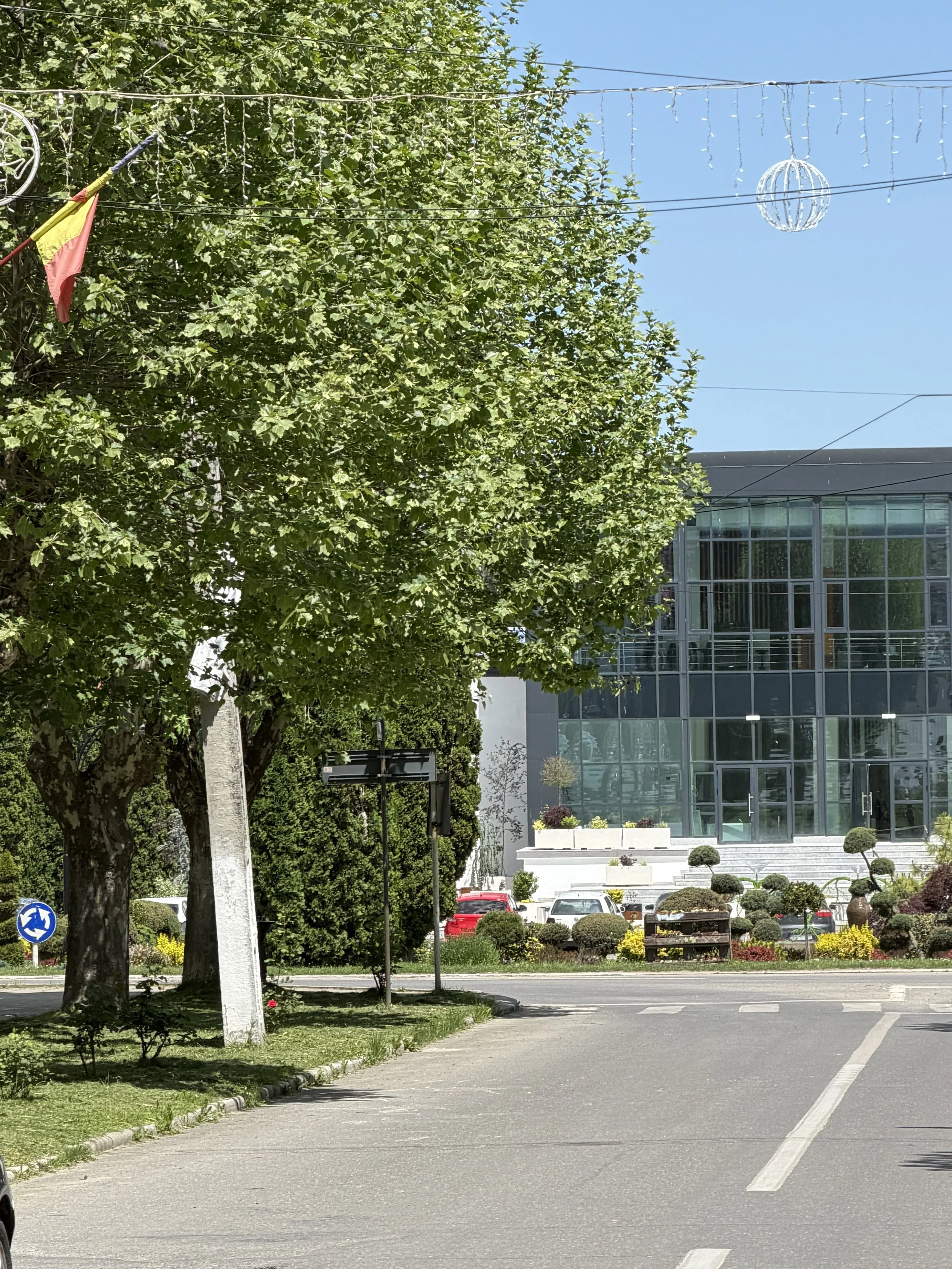 A street view with trees lining the sidewalk, a modern glass building in the background, and parked cars in a parking lot. Decorative lights and a flag are also visible.