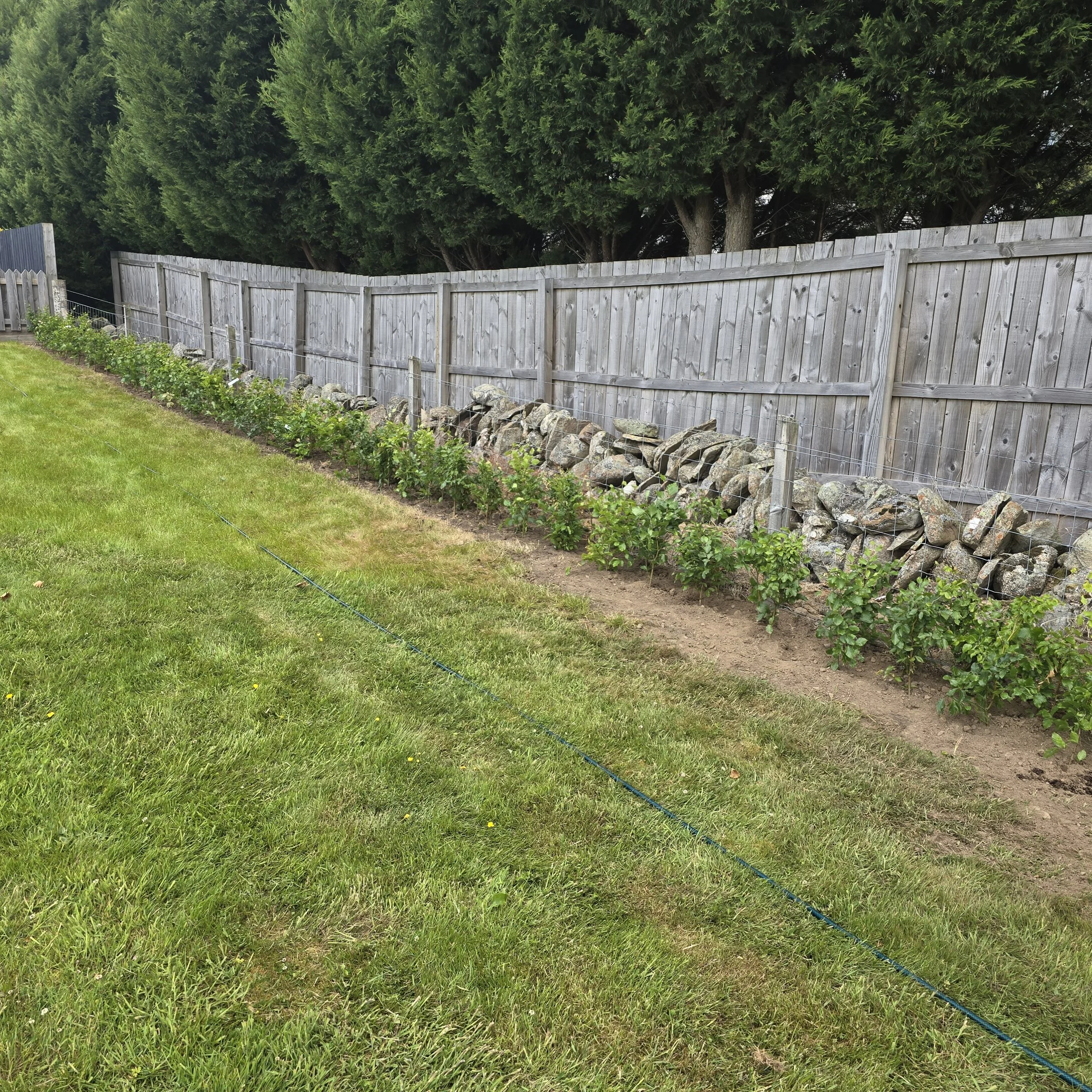 Modern building with large glass window and wooden exterior, surrounded by grasses and small trees, with mountains in the background.
