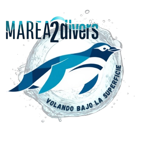 🦦ESCUELA DE BUCEO