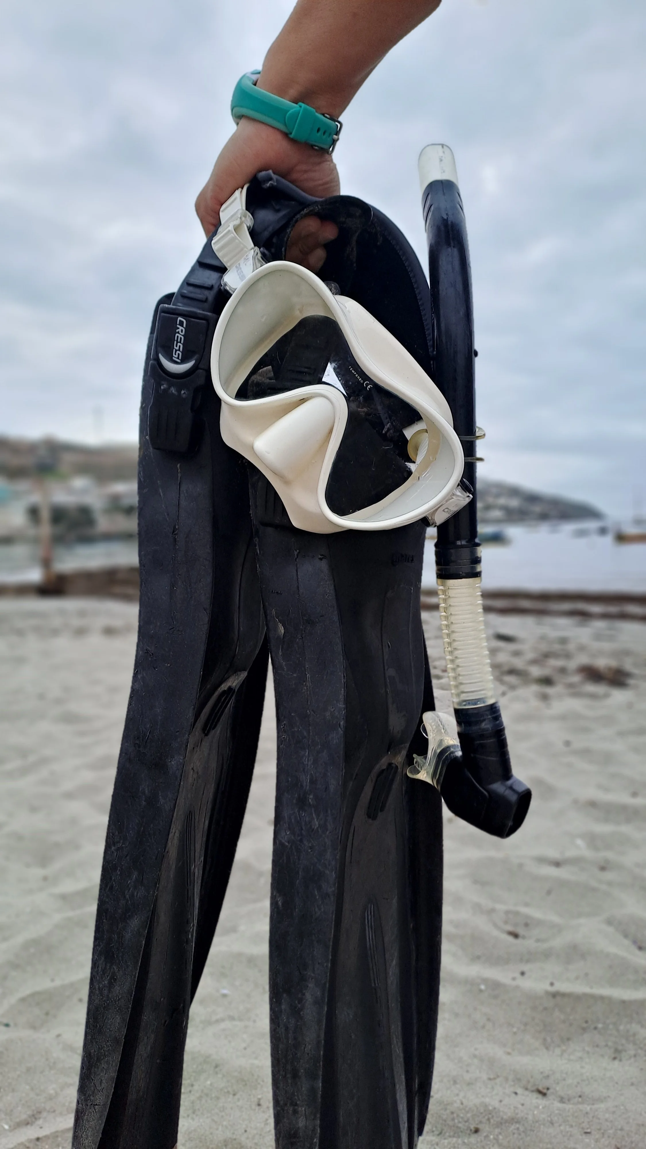 Clases de snorkeling