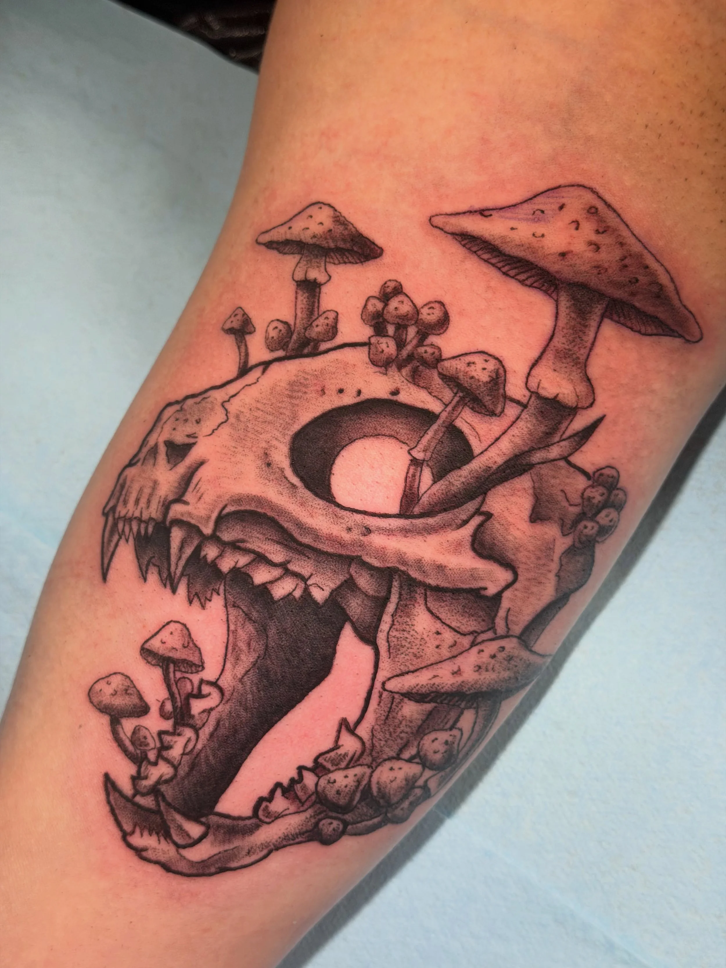 Cat skull and mushrooms for Allie! Thanks always my friend, really loved this one.
.
Booking for St. Petersburg June-August at @electricgoldtattooco 
.
Message me or fill out the form in my bio to book.

Thanks for looking 🤙