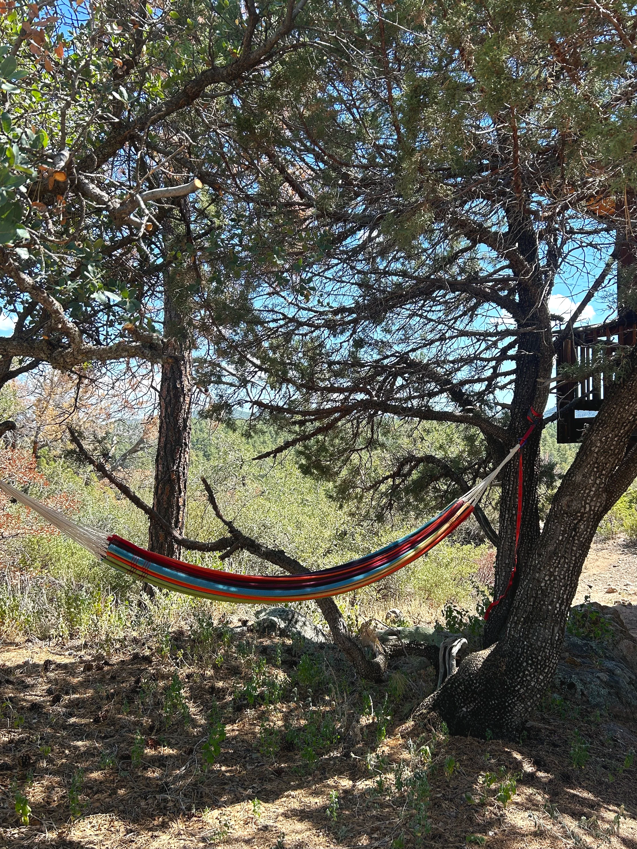 Hammock