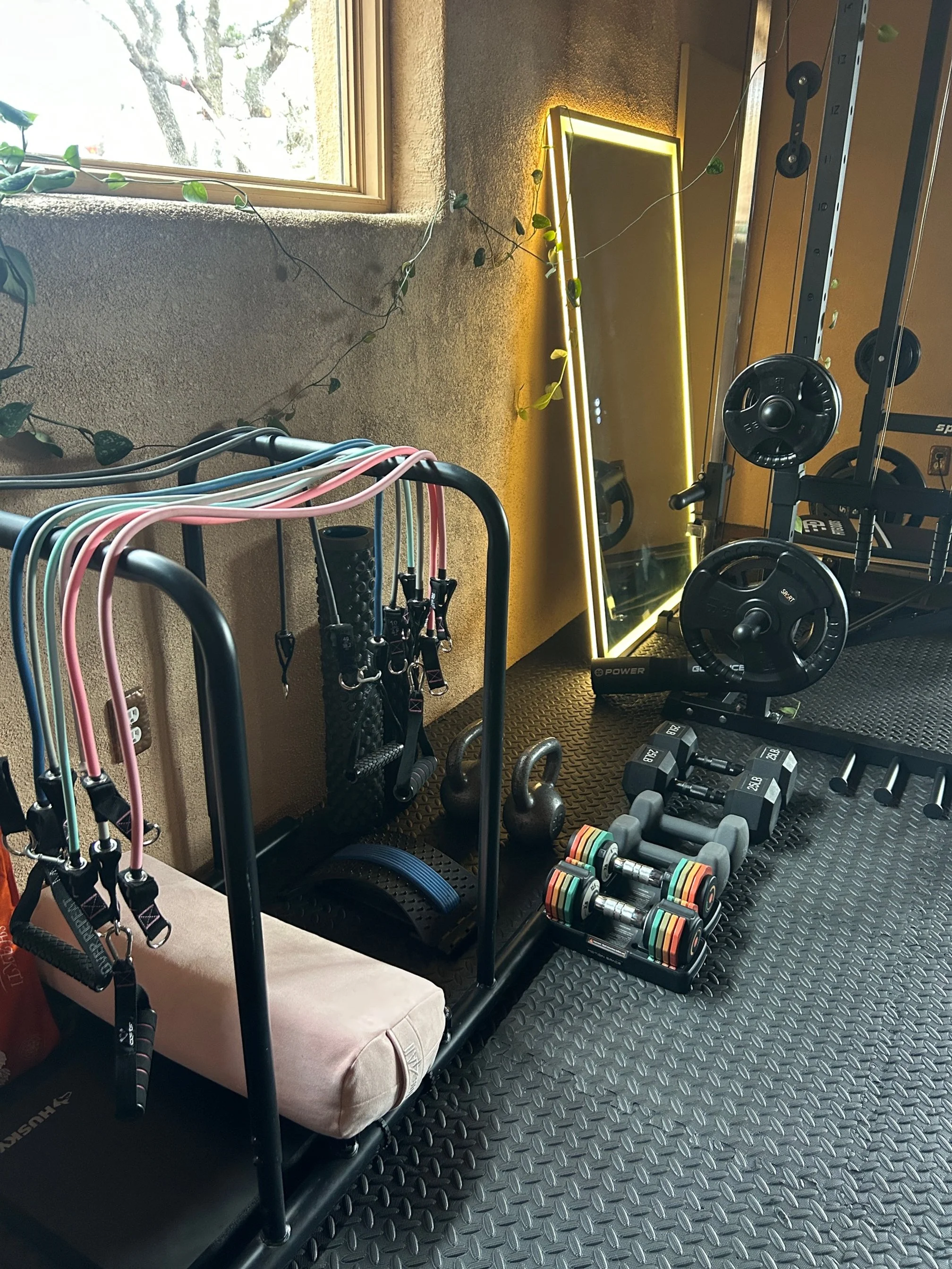 Weights & Free Bands in Home Gym