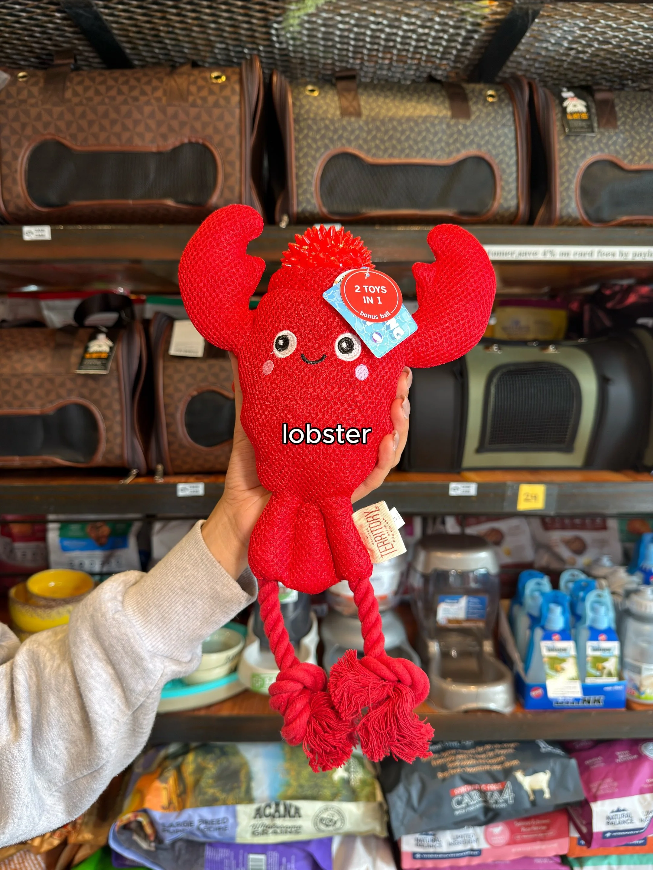 Our new friends have arrived 😎 #osospets #pettoys #dogtoys #dogfun