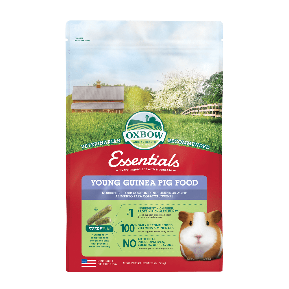 Oxbow Animal Health Essentials Young Guinea Pig Food - 1ea/5 lb