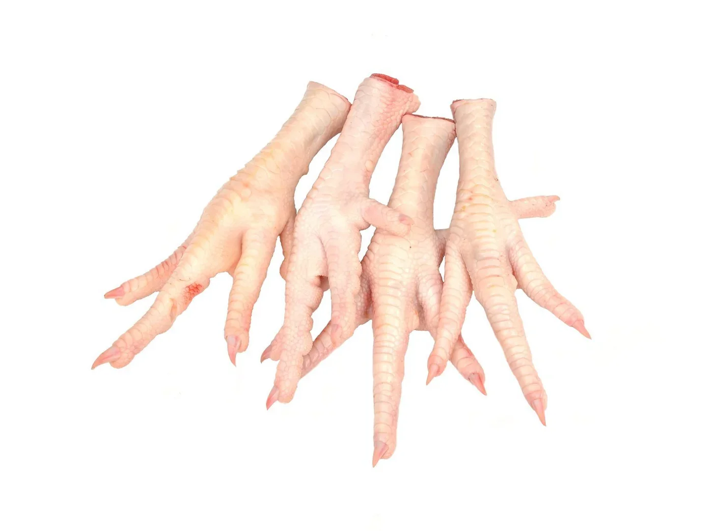 raw-chicken-feet-883127.jpg.webp