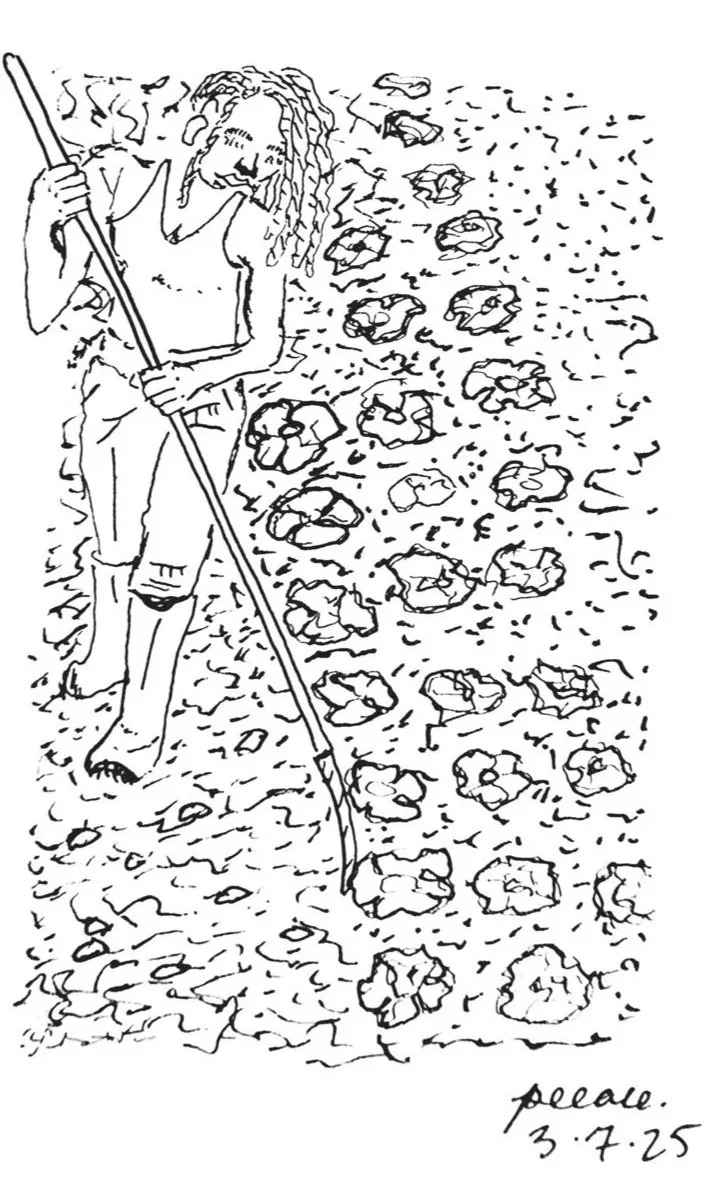 The Seeds We Sow: Conversations with Black Farmers Shaping the Future of our Food