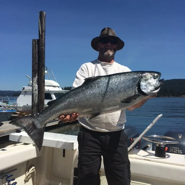 Man wearing a hat and sunglasses holding a large fish on a boat docked by the water.