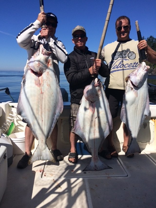 Three men on a boat holding large fish they've caught, with fishing poles in hand and a body of water in the background.
