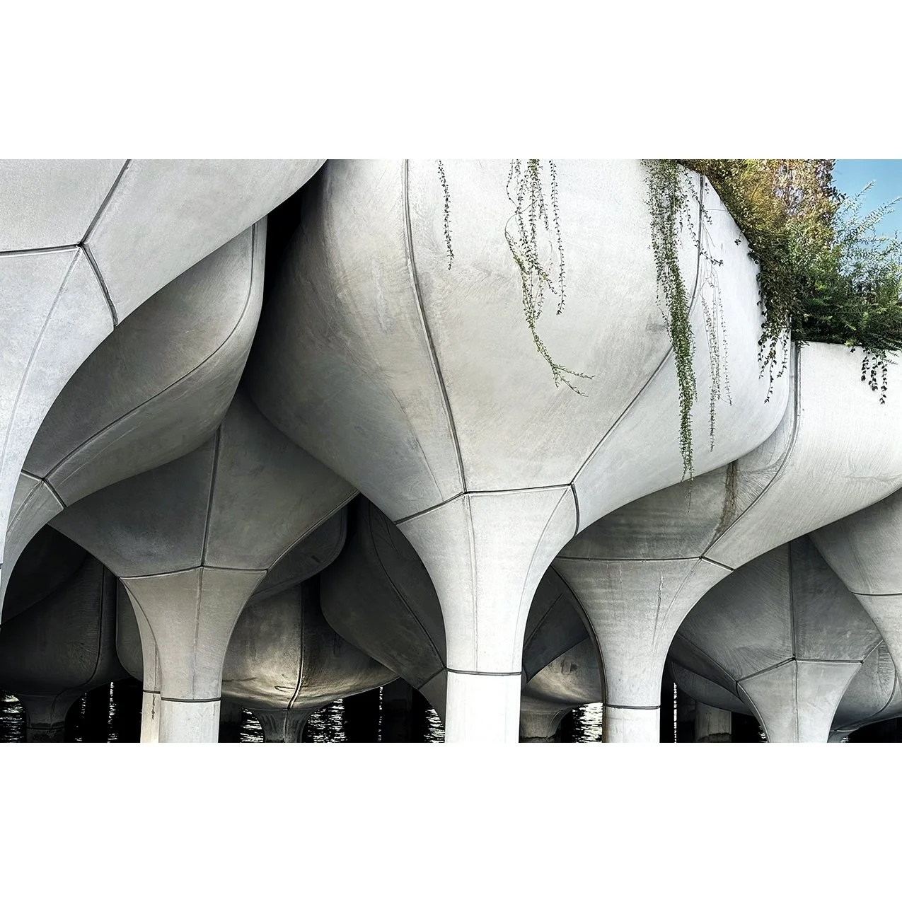 NYC Little Island3.jpg