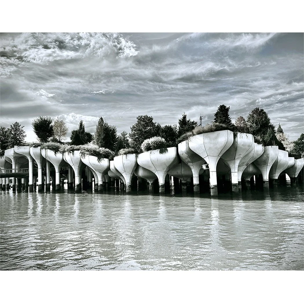 NOWINSKA - Little Island.jpg