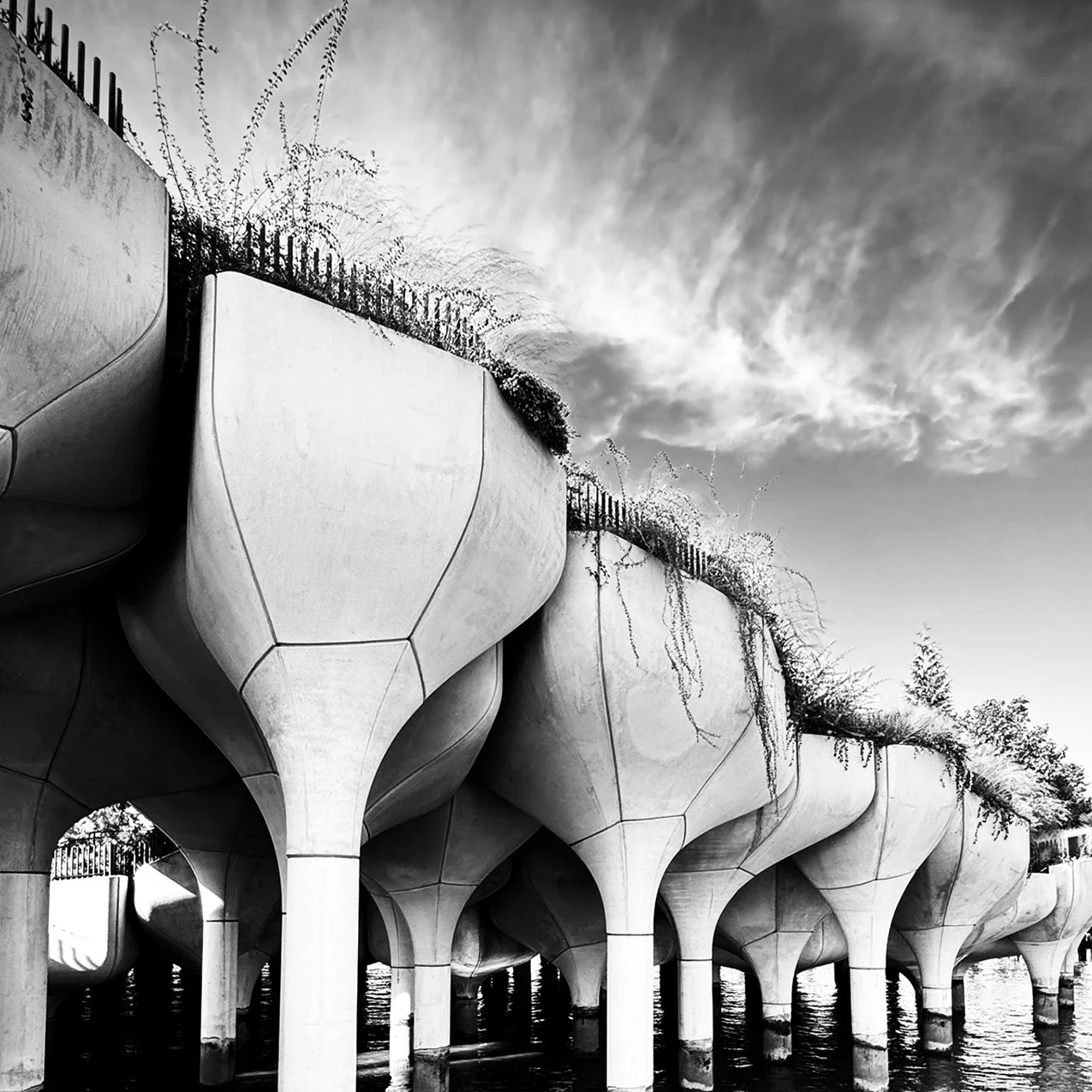 NYC Little Island4.jpg