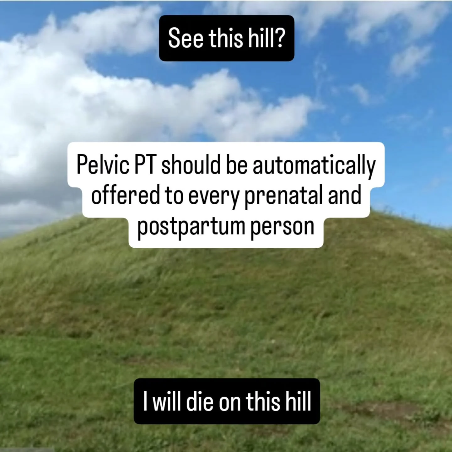 Always shouting from my soapbox on top of this hill.

Pelvic PT is evidence-based, effective, and can help everyone. So why not just make it a standard?

If you're pregnant or postpartum and:
Have pain 
Leak
Pee 20 times per day
Can't have s3x becaus