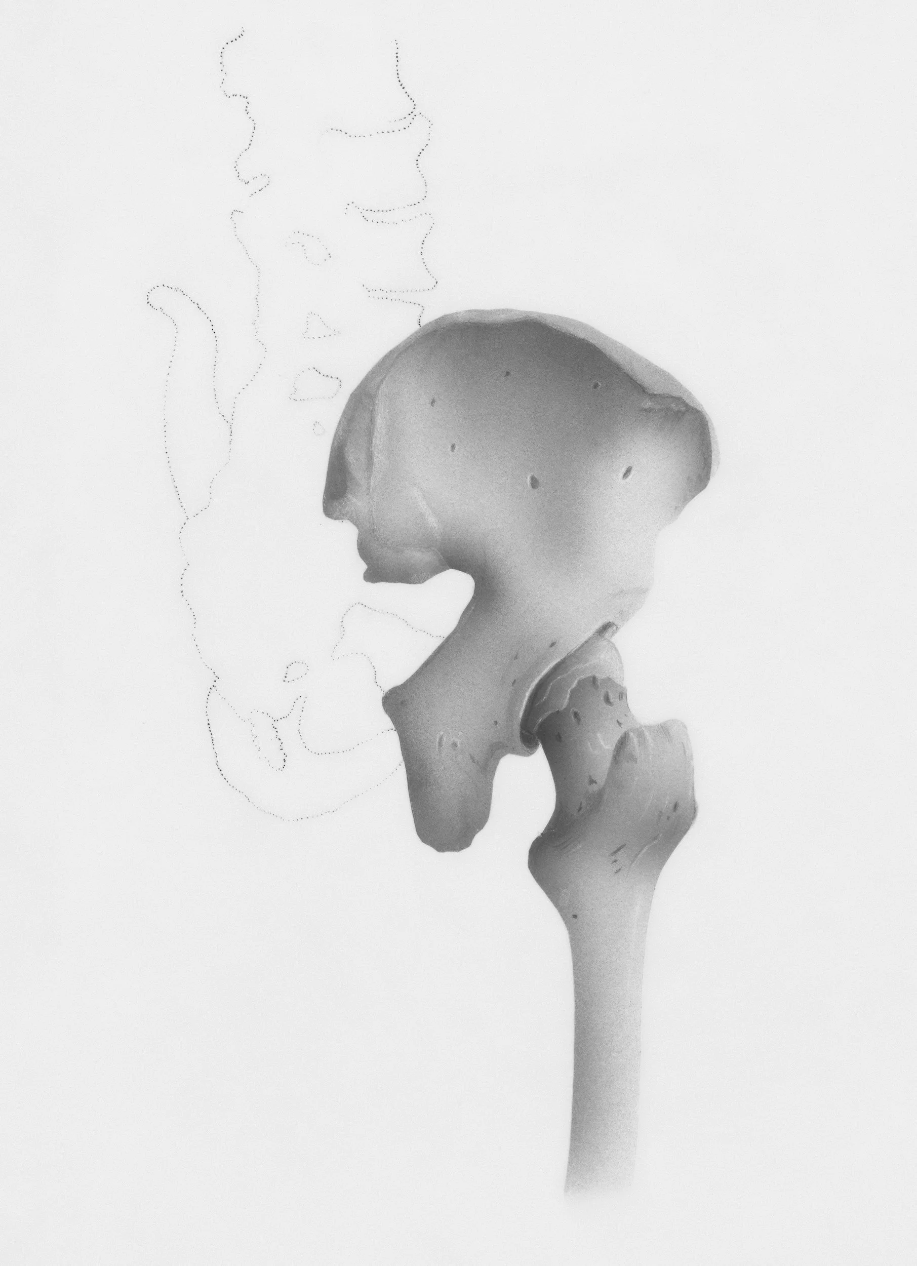 Black and white photo of a human pelvis and femur bone, with an outline of a map or drawing on the background.