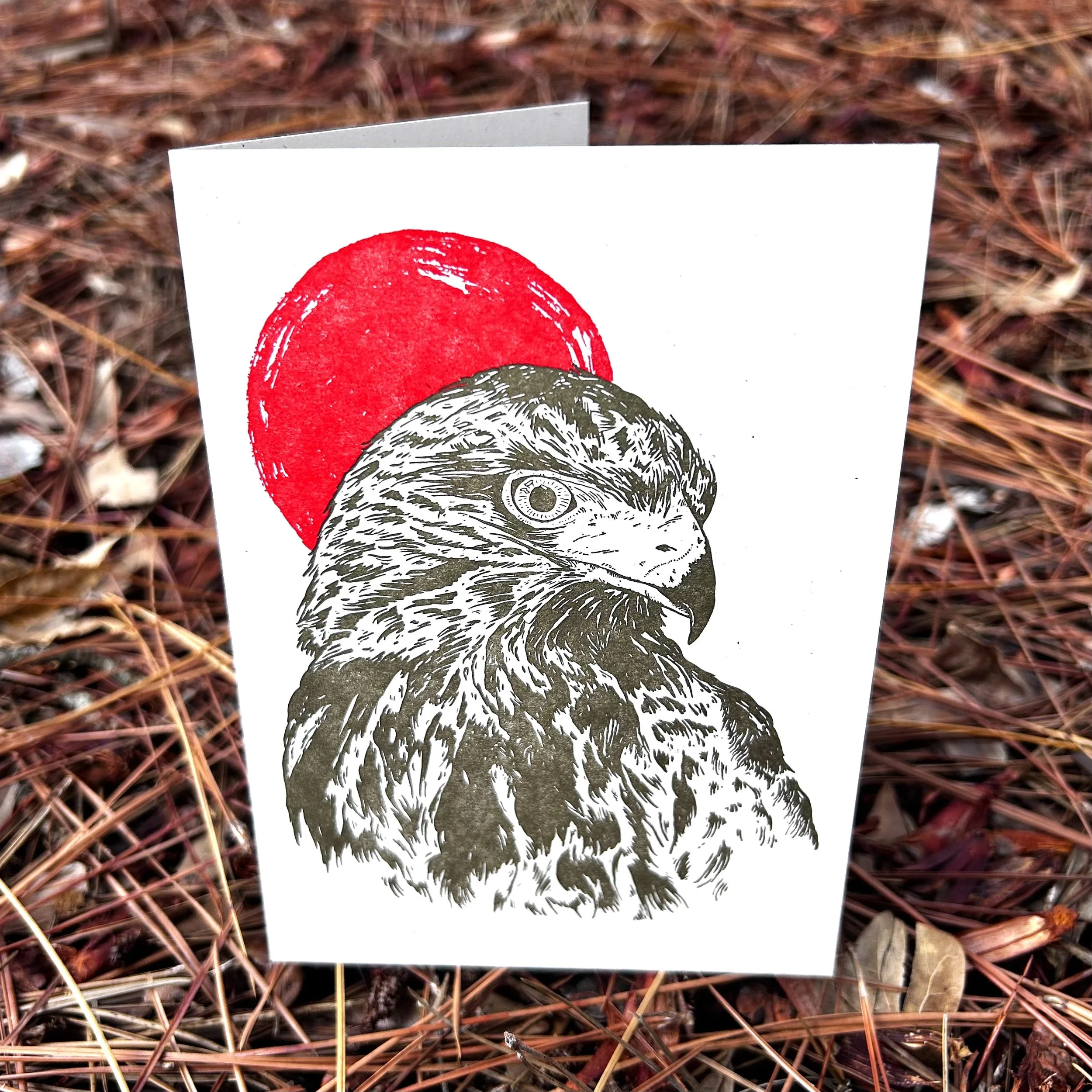 RED-TAILED HAWK - LETTERPRESS GREETING CARD