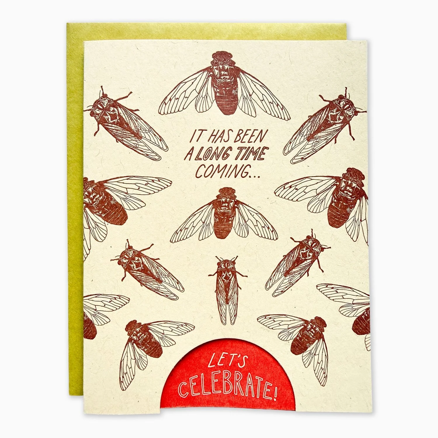 cicada+card+tn2.jpg