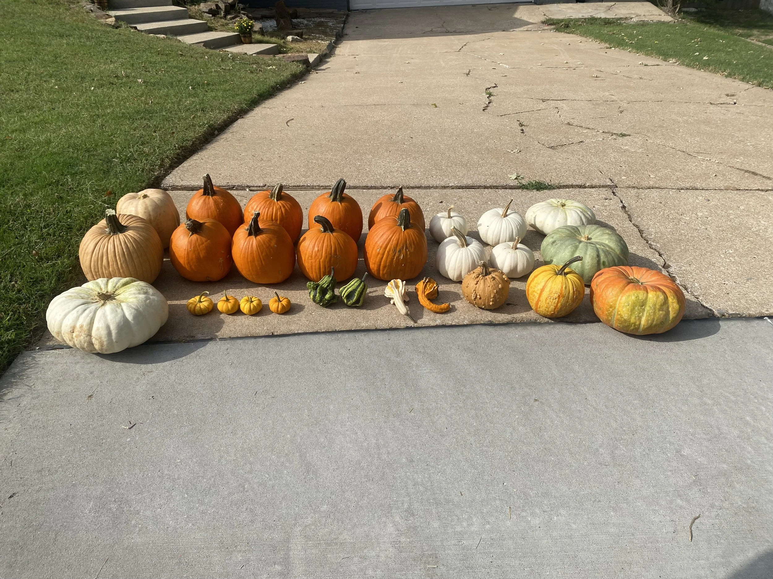 Pumpkin it Up