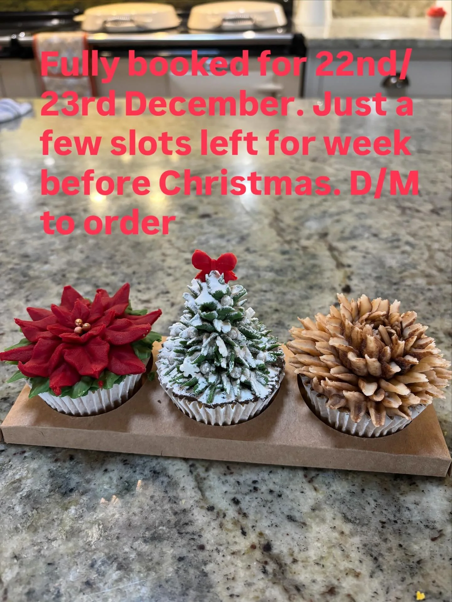 Thank you to all my lovely customers Old and new for already ordering your Christmas floral cupcakes. I do have a few slots available for the week before Christmas so please let me know asap if you would like to order.