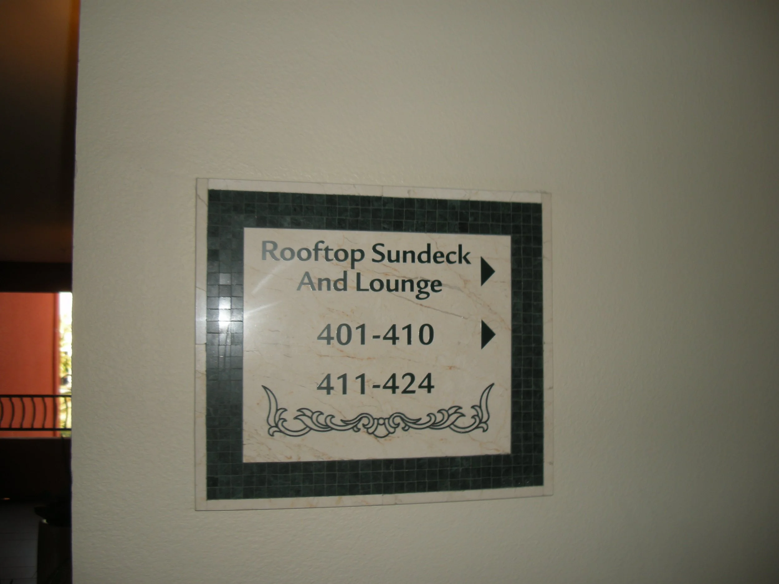 Copy of DSCN8981.JPG