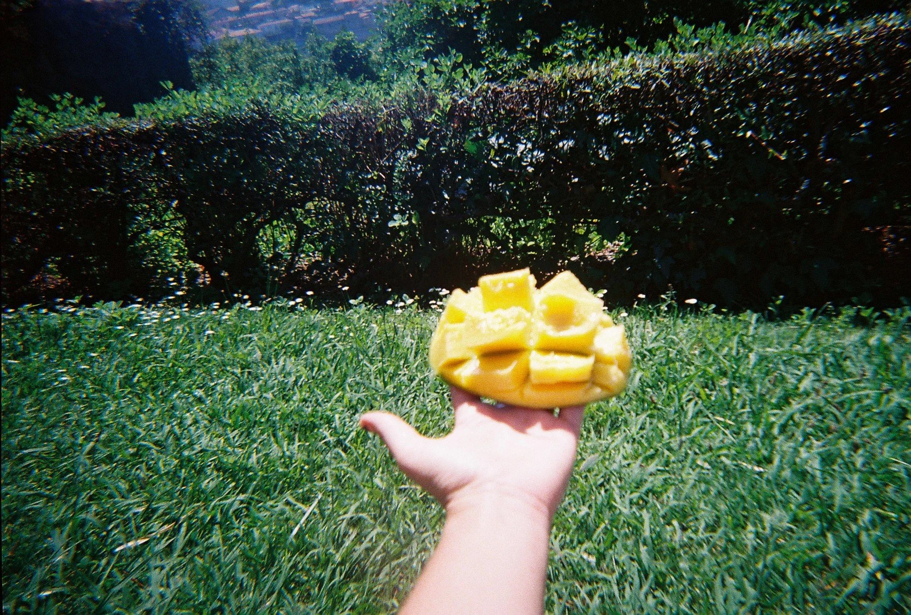  Mango Pause, Virtudes Park 