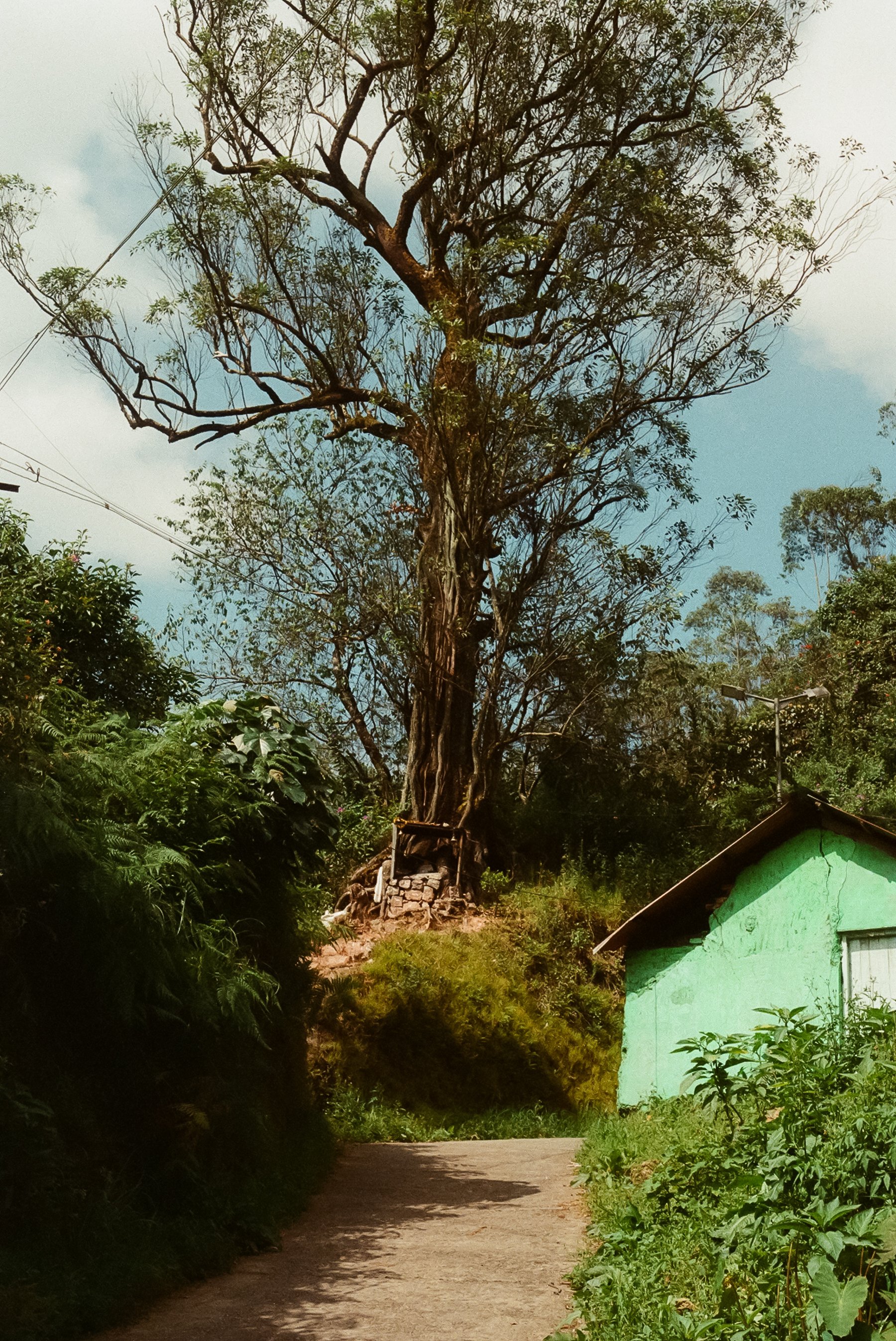 115458_107.jpg