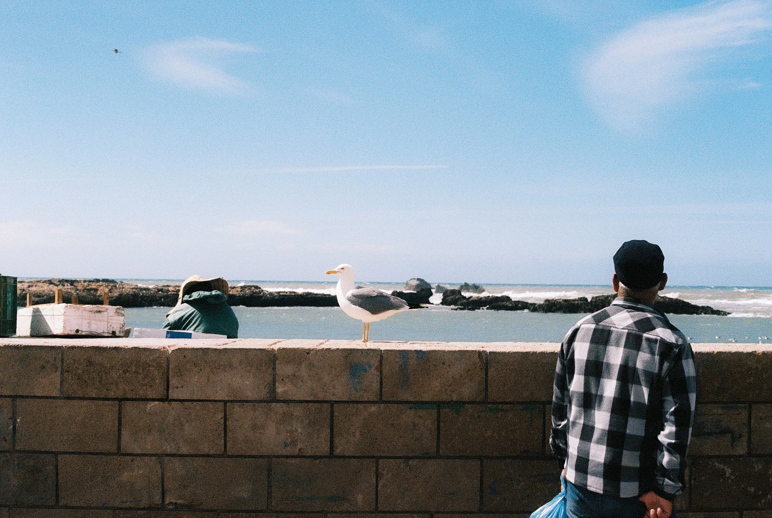 123096_158.jpg