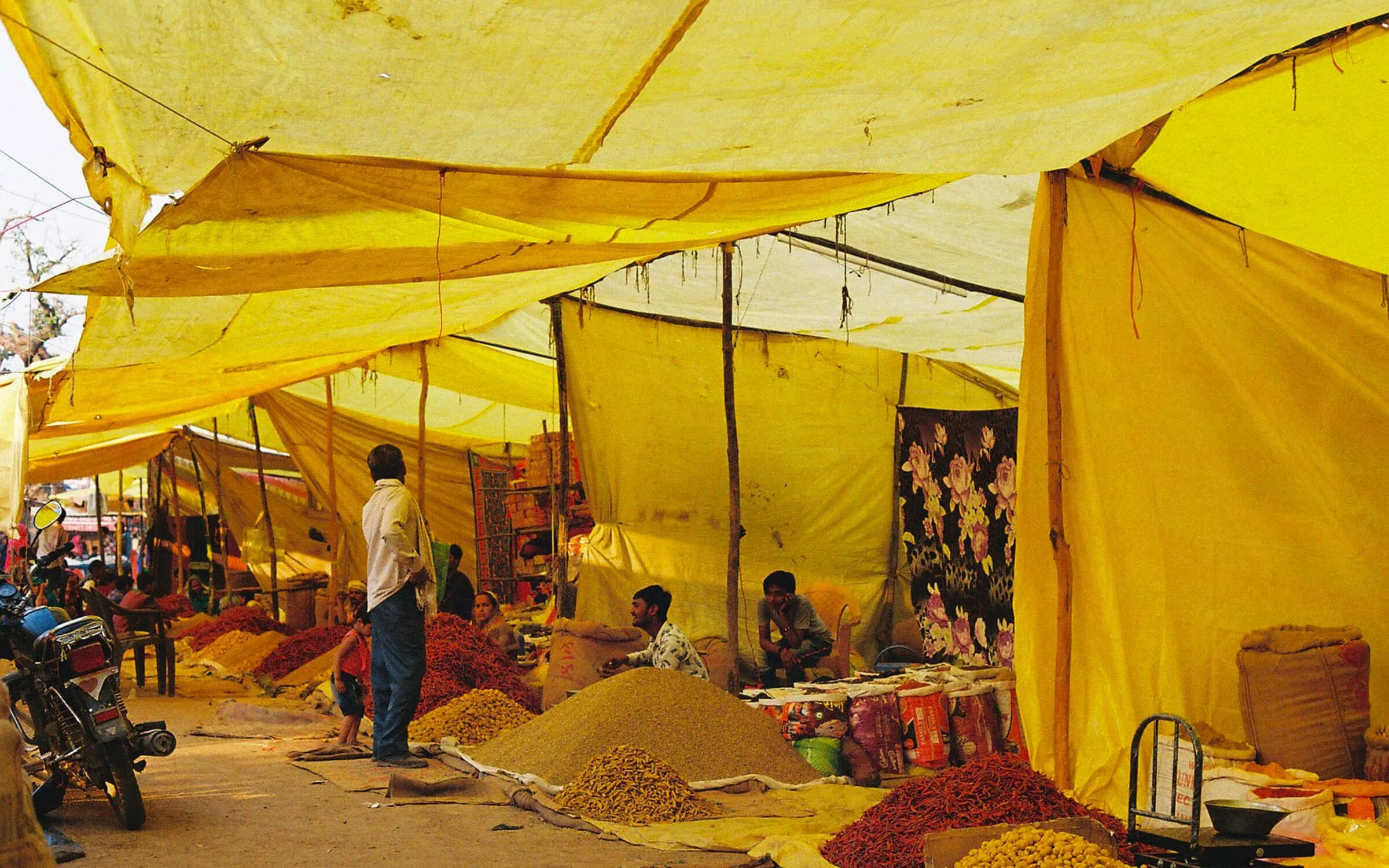 india-cover-album.jpg