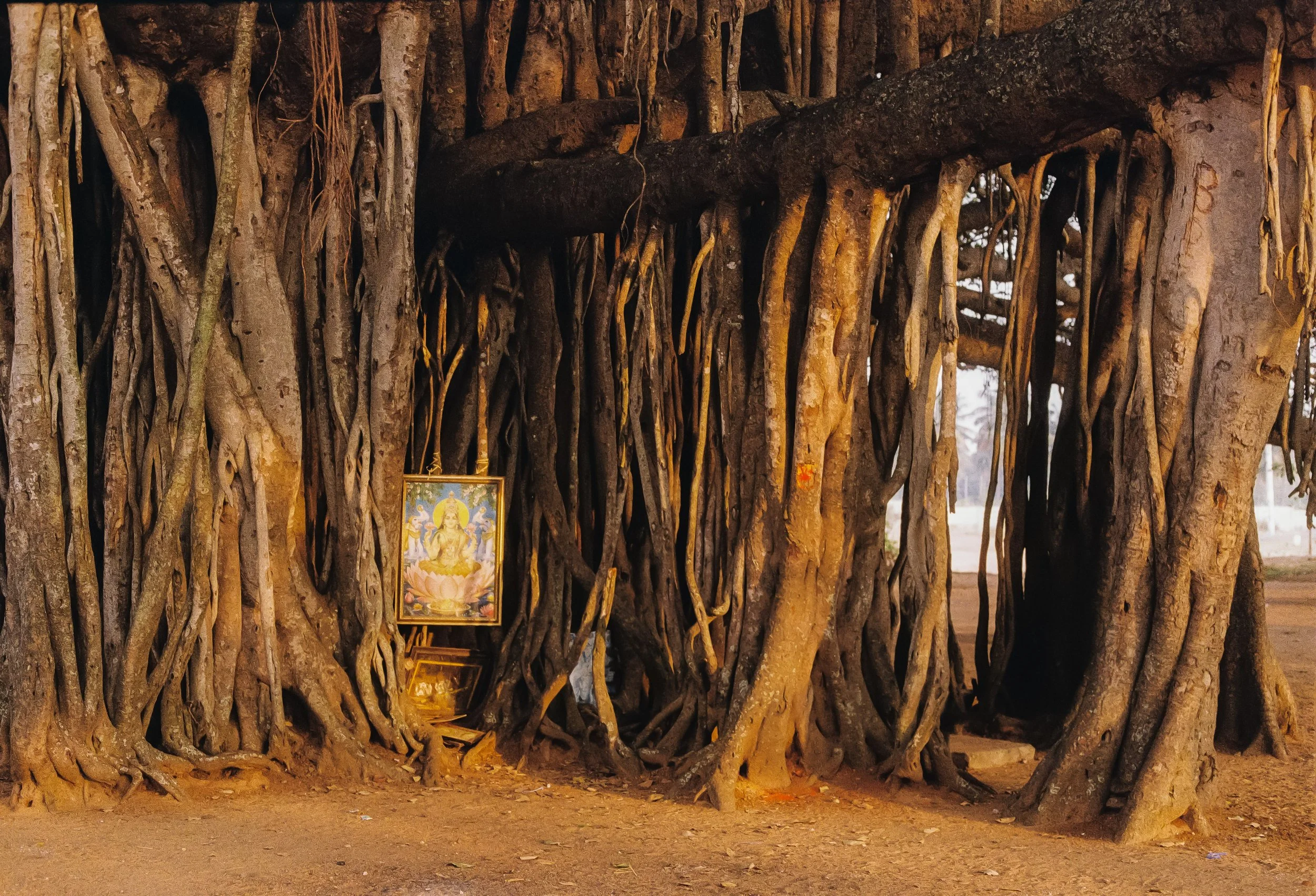 India_Test_0024-2.jpg
