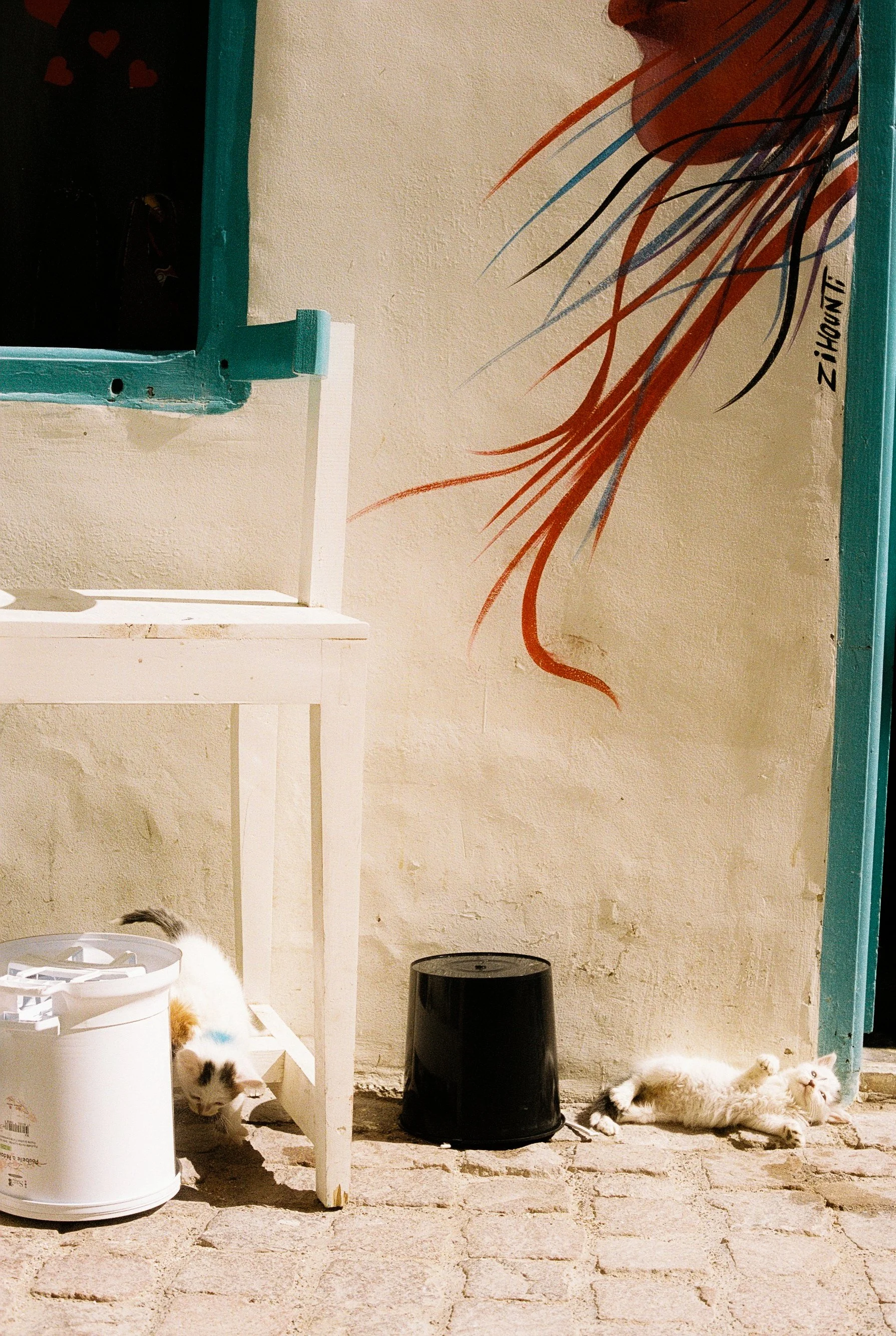 123096_151.jpg