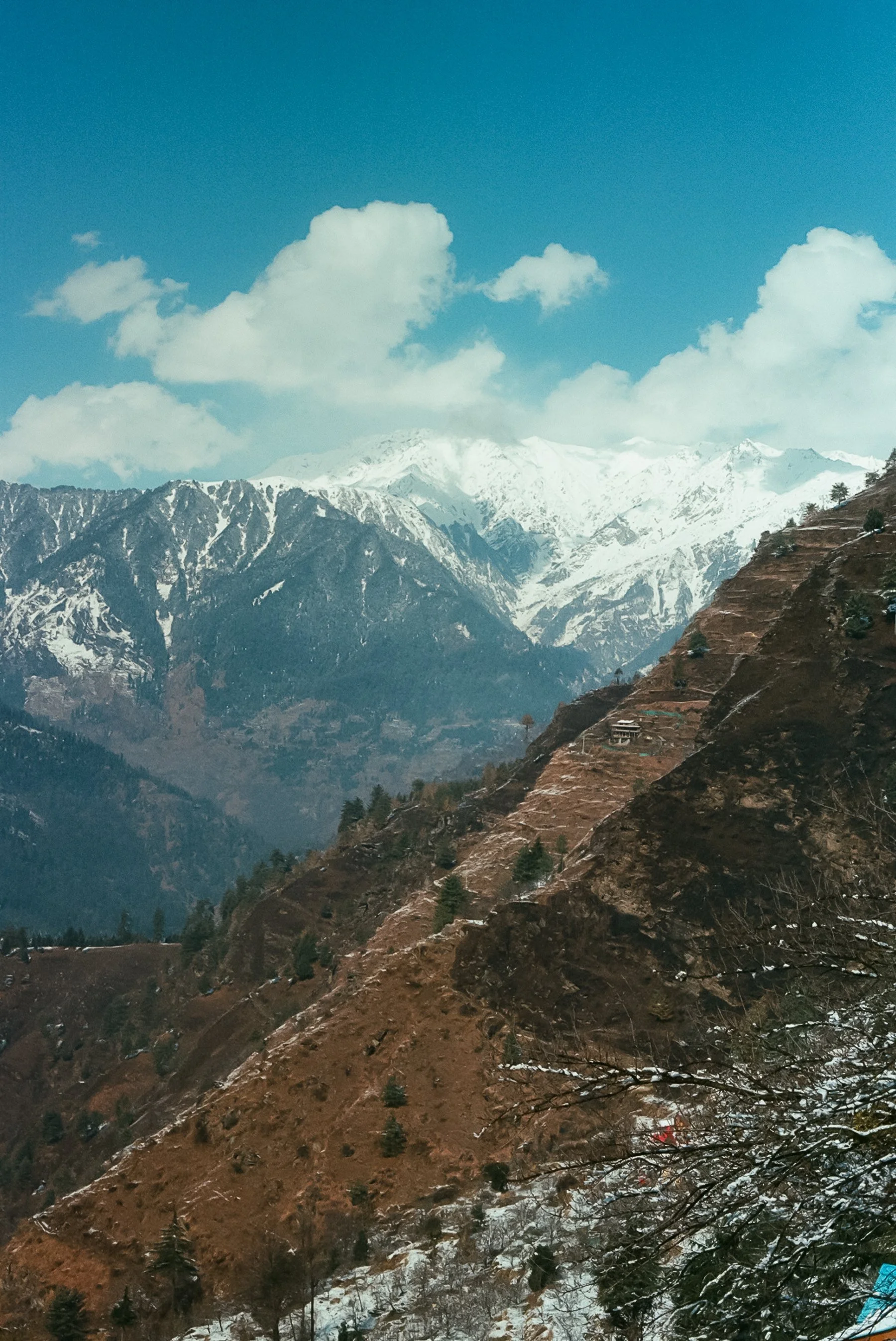 107869_027.jpg