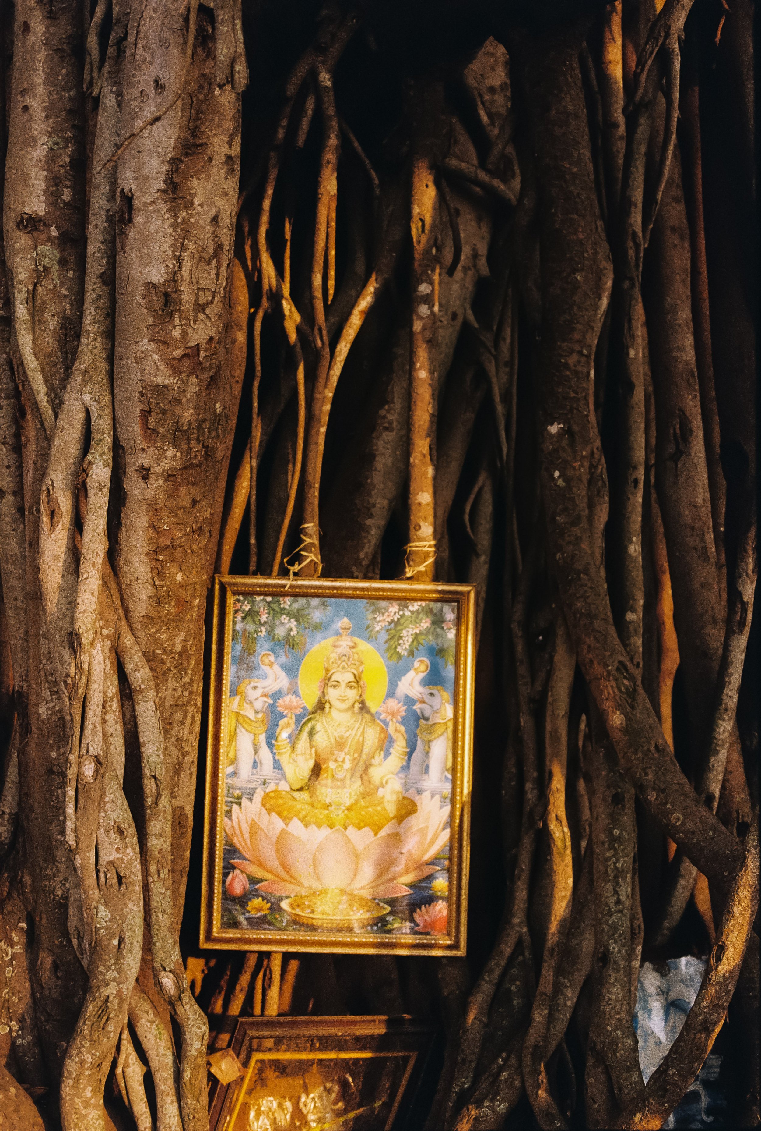 India_Test_0025-2.jpg