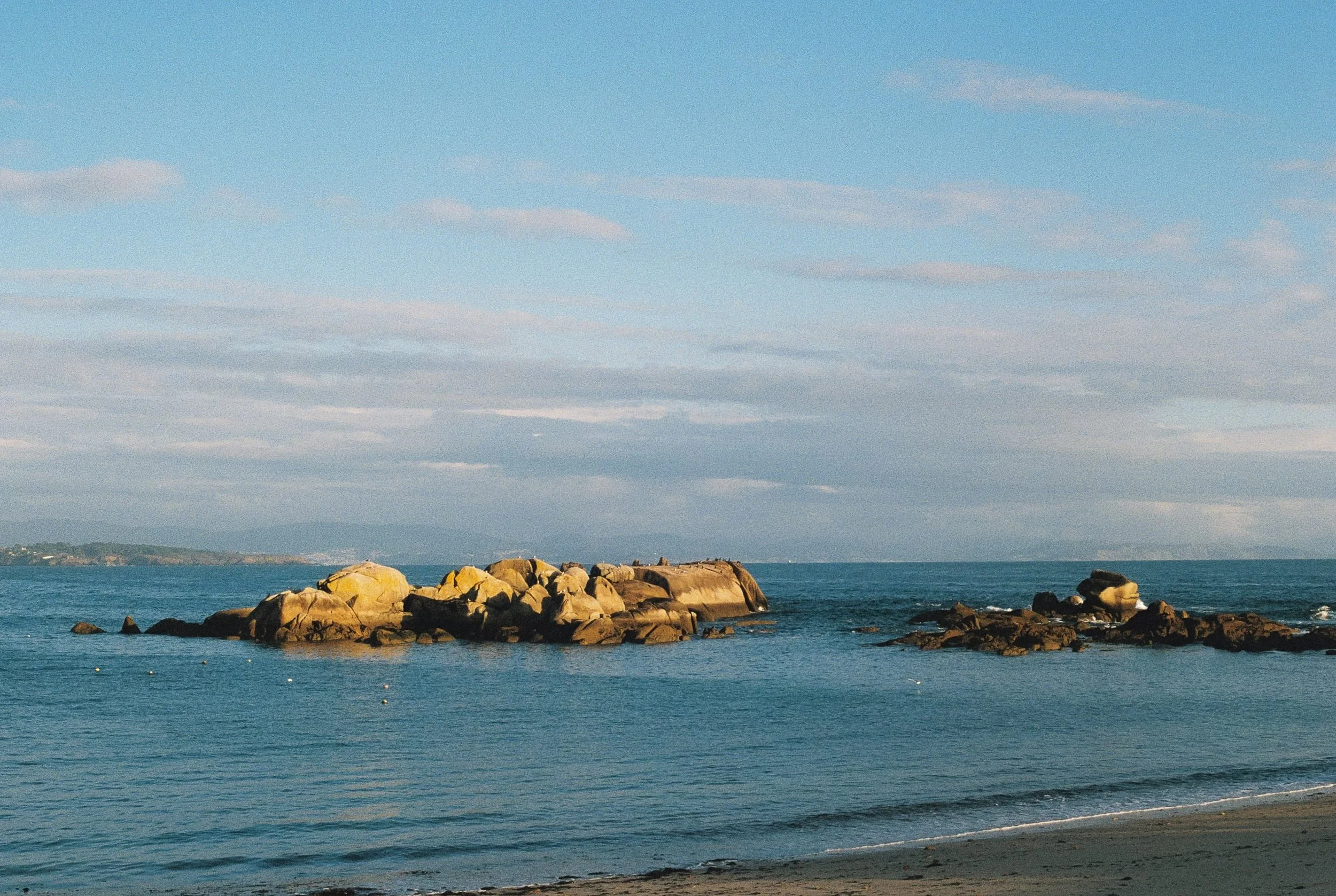 135995_050.jpg