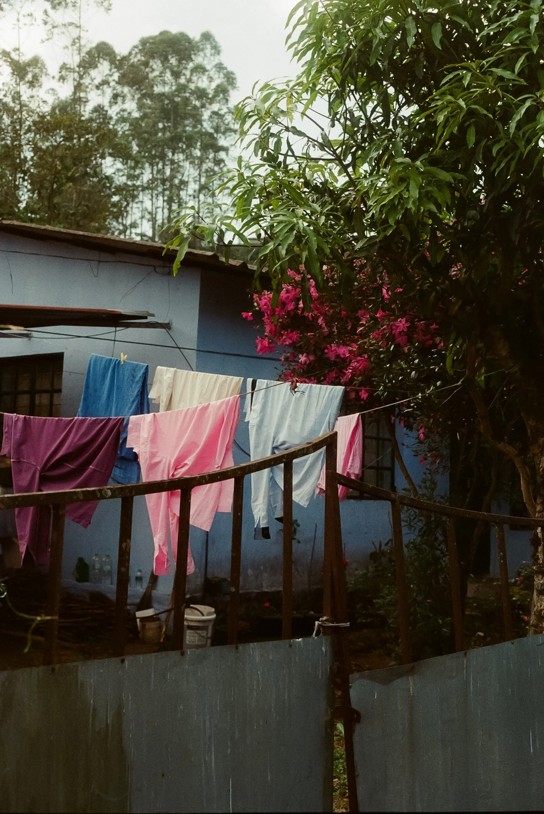 115458_102.jpg