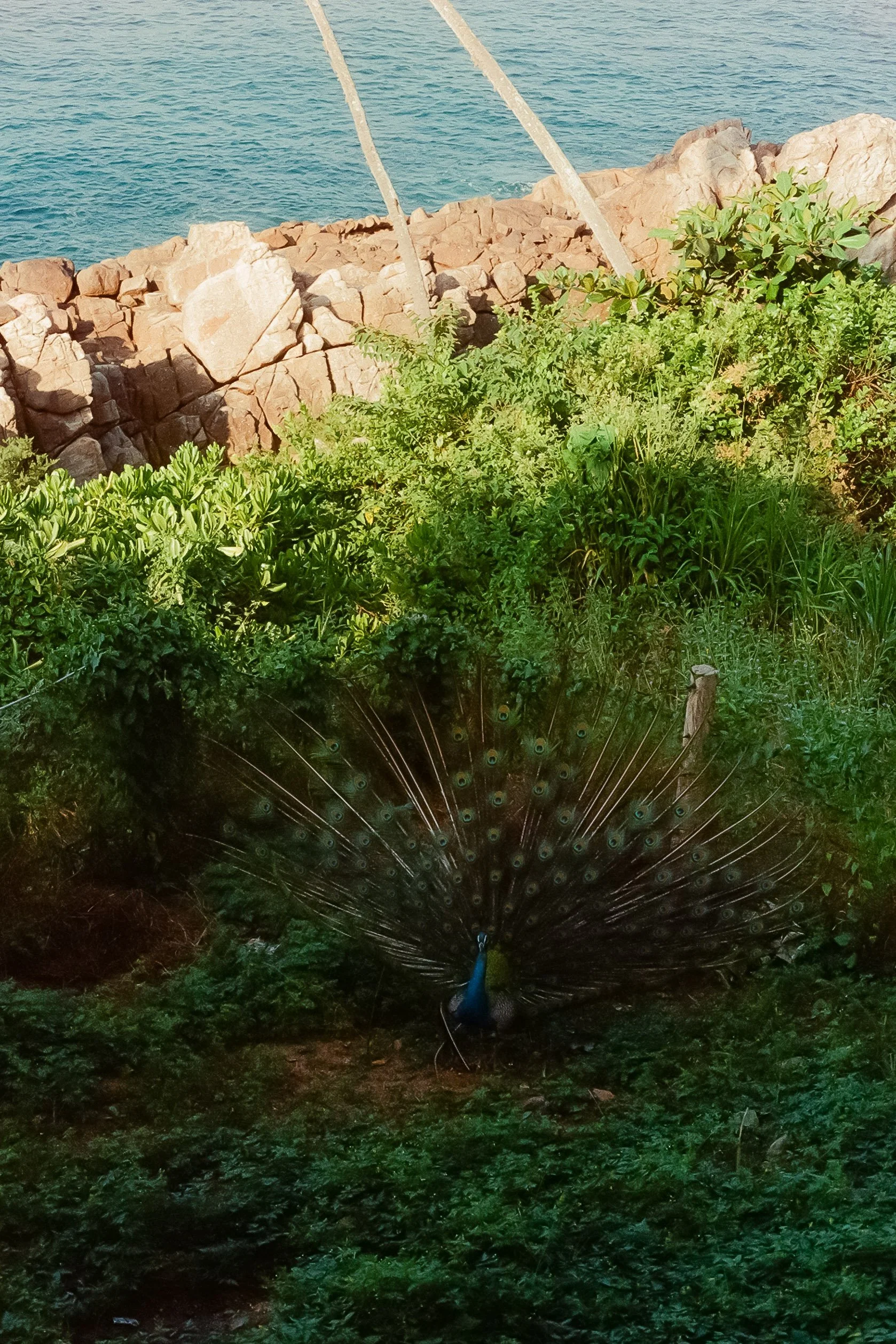 122156_034.jpg