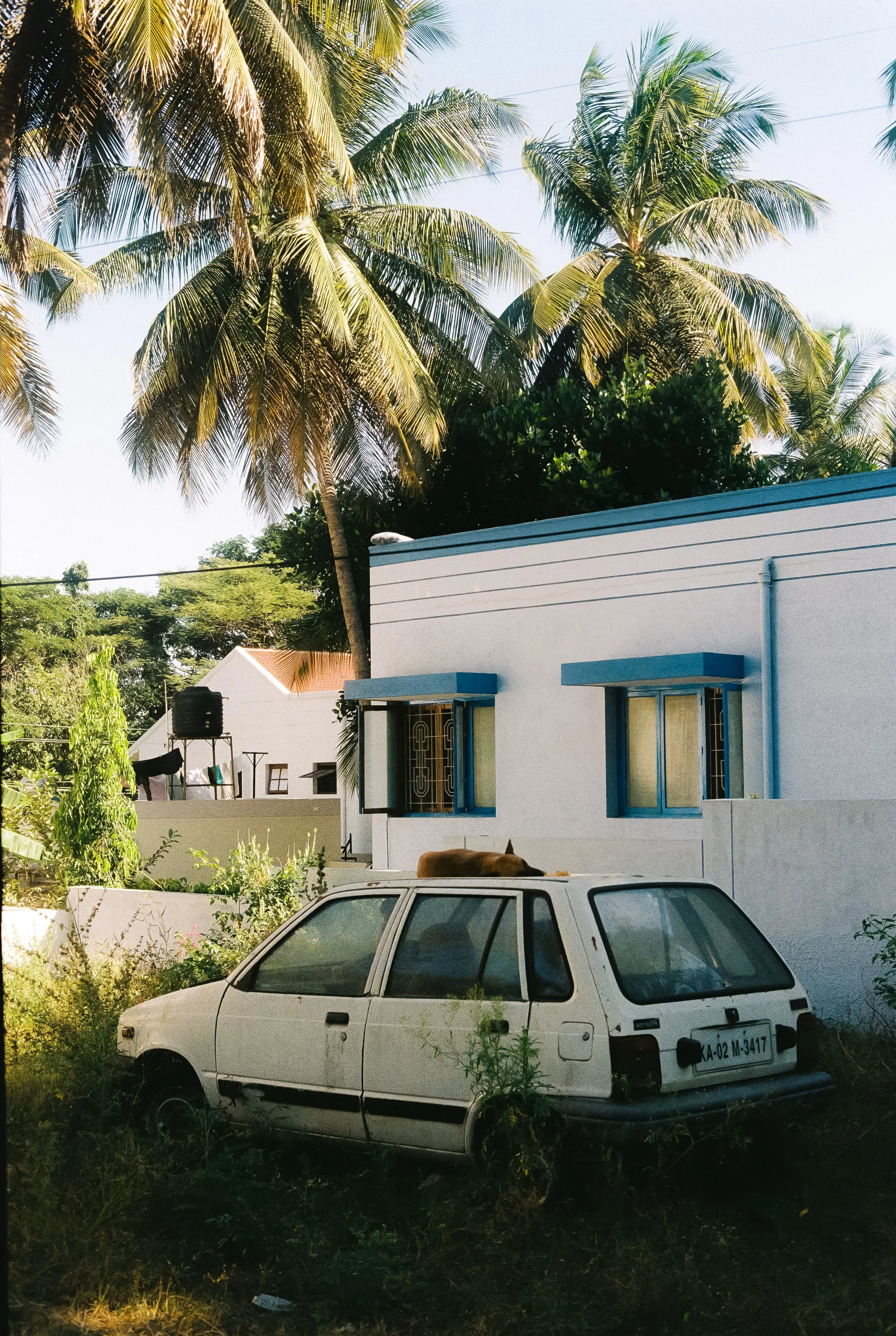 India_Test_0011-2.jpg