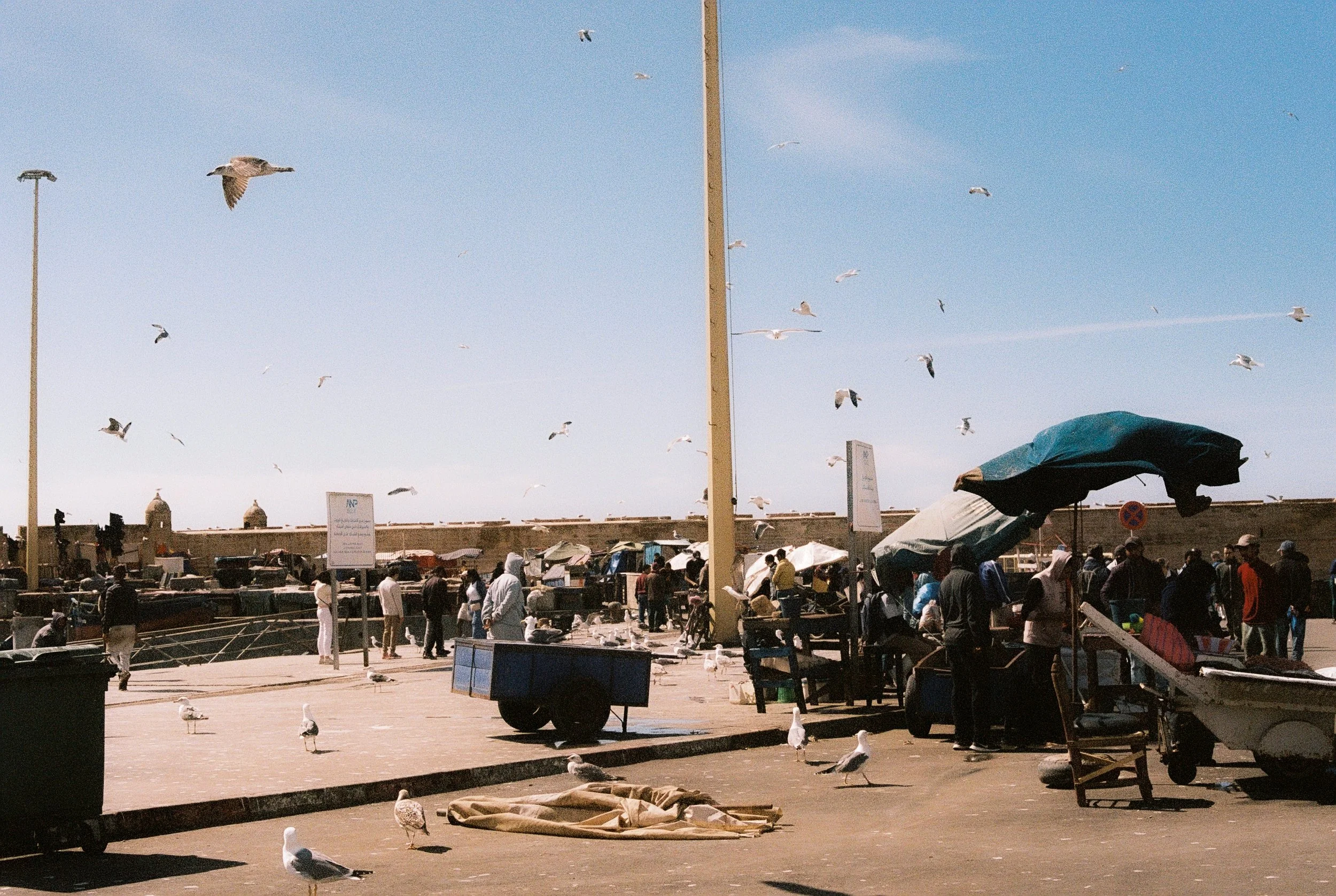 123096_153.jpg