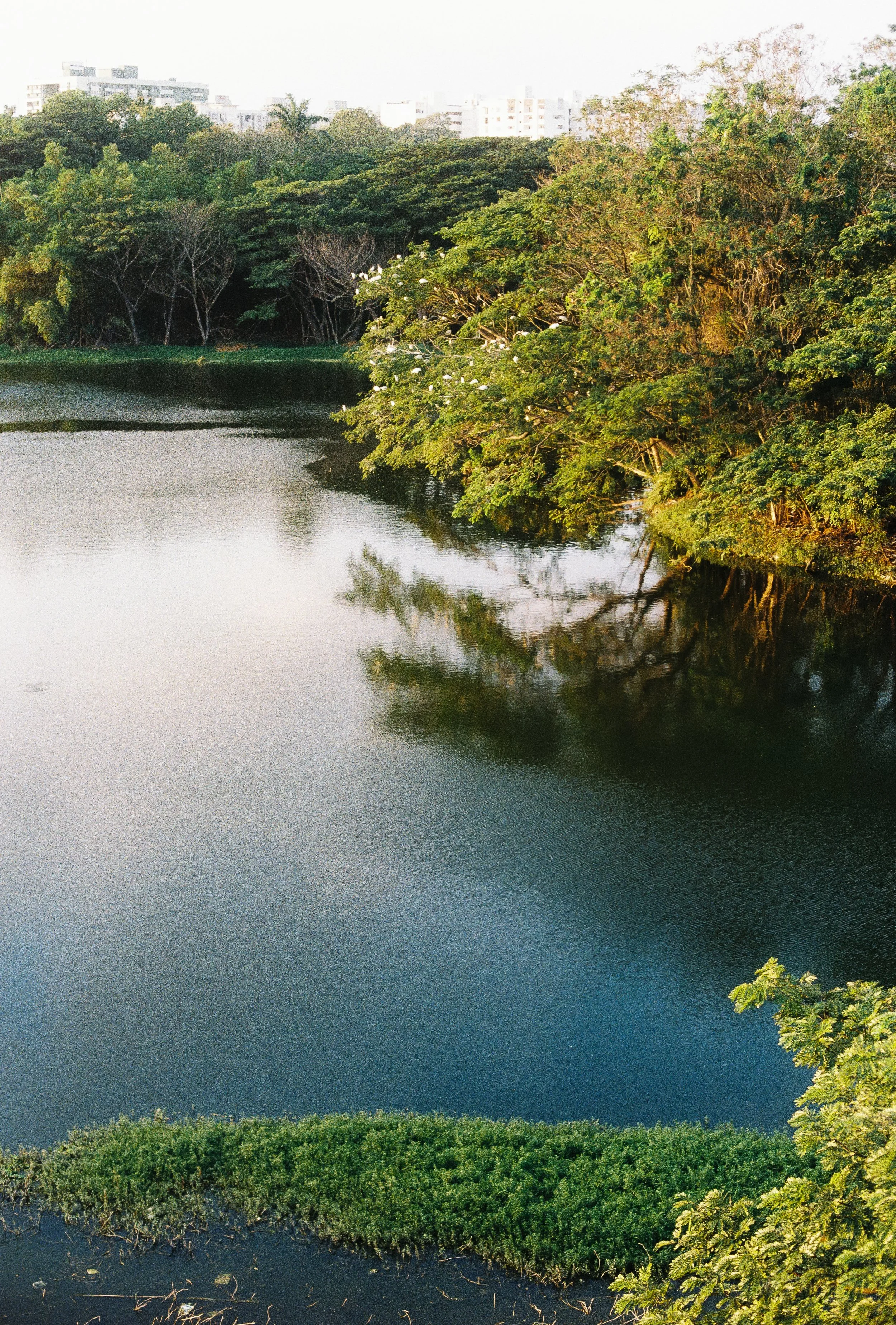 India_Test_0012.jpg