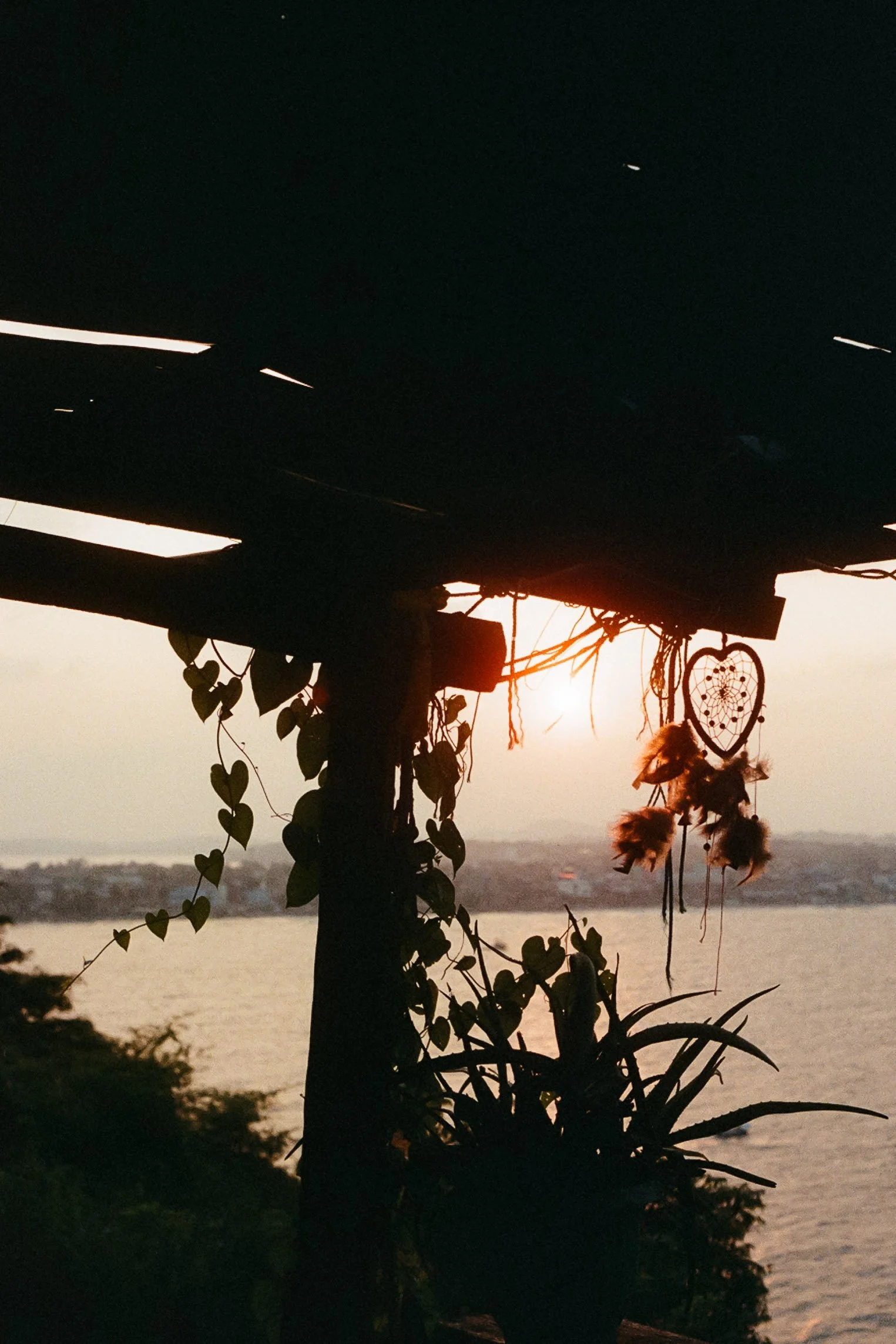122156_095-2.jpg
