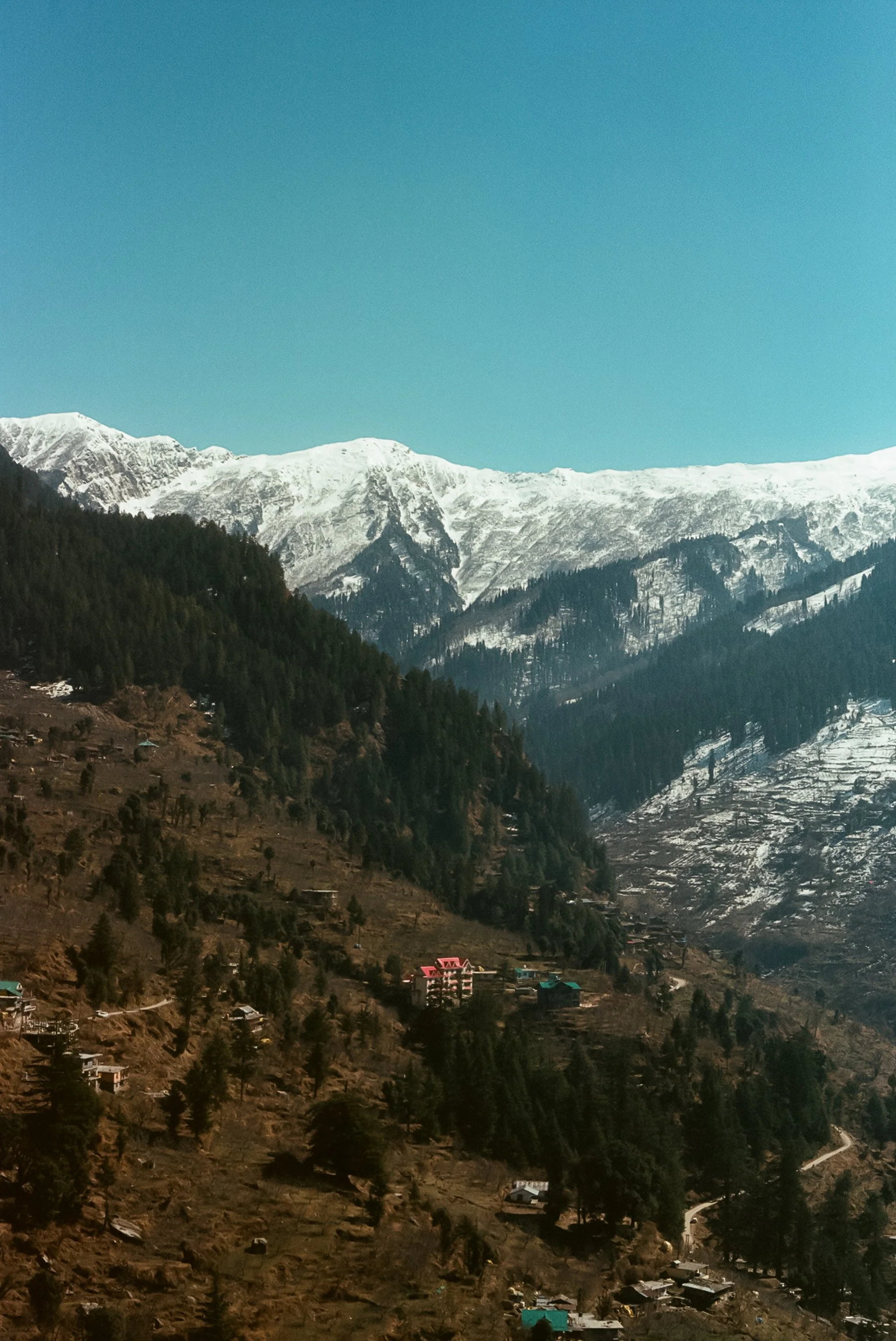 107869_019.jpg