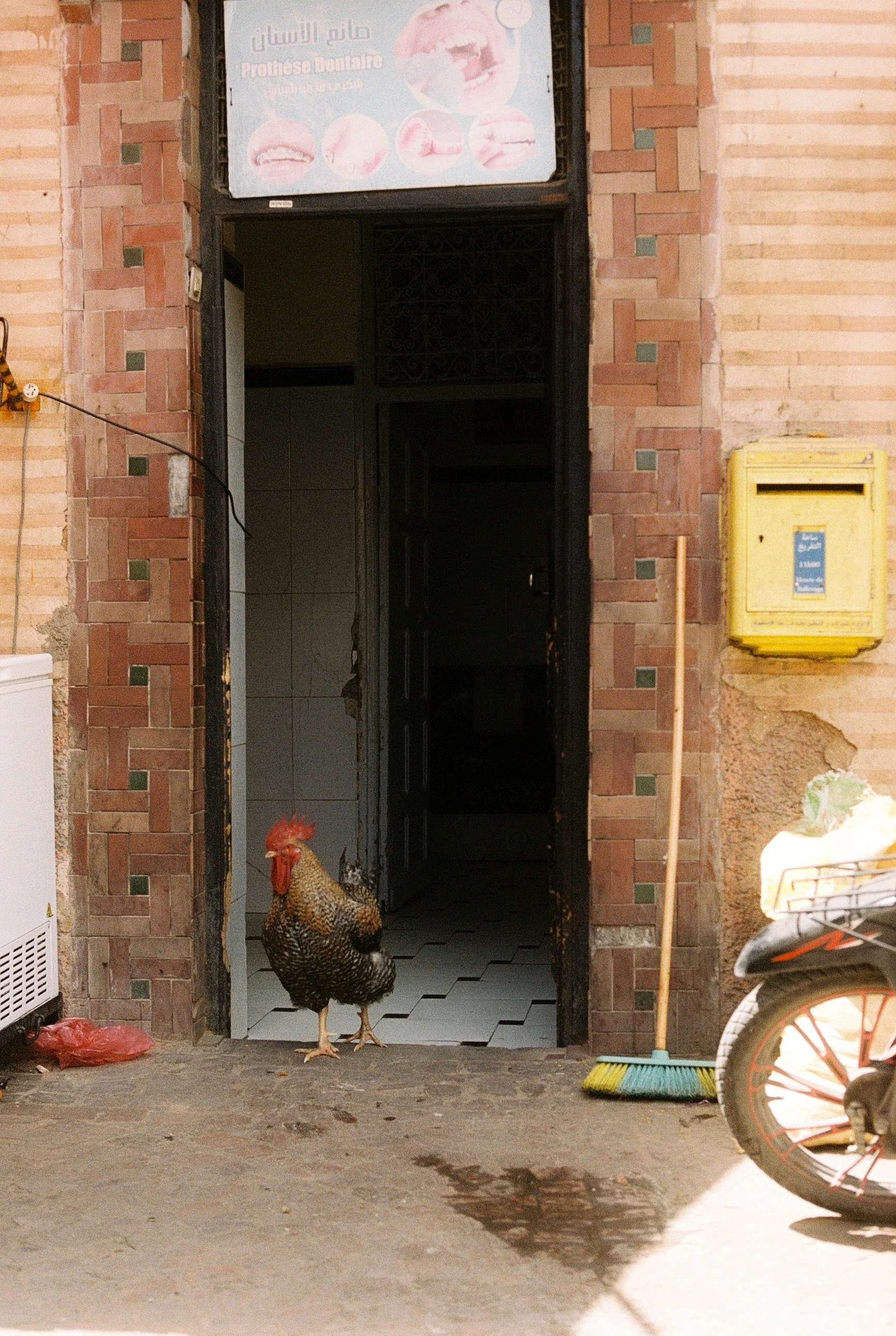 123096_103.jpg