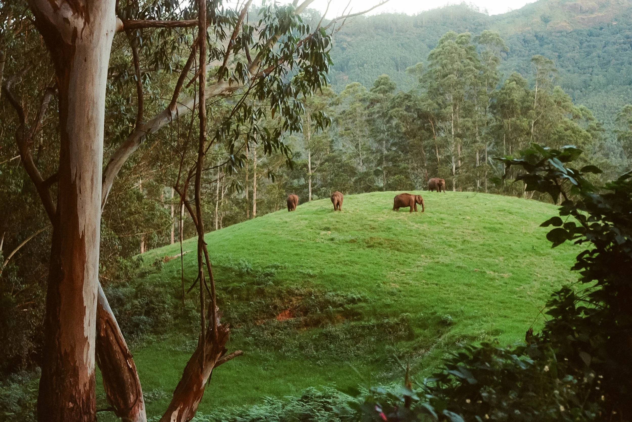 115458_098.jpg