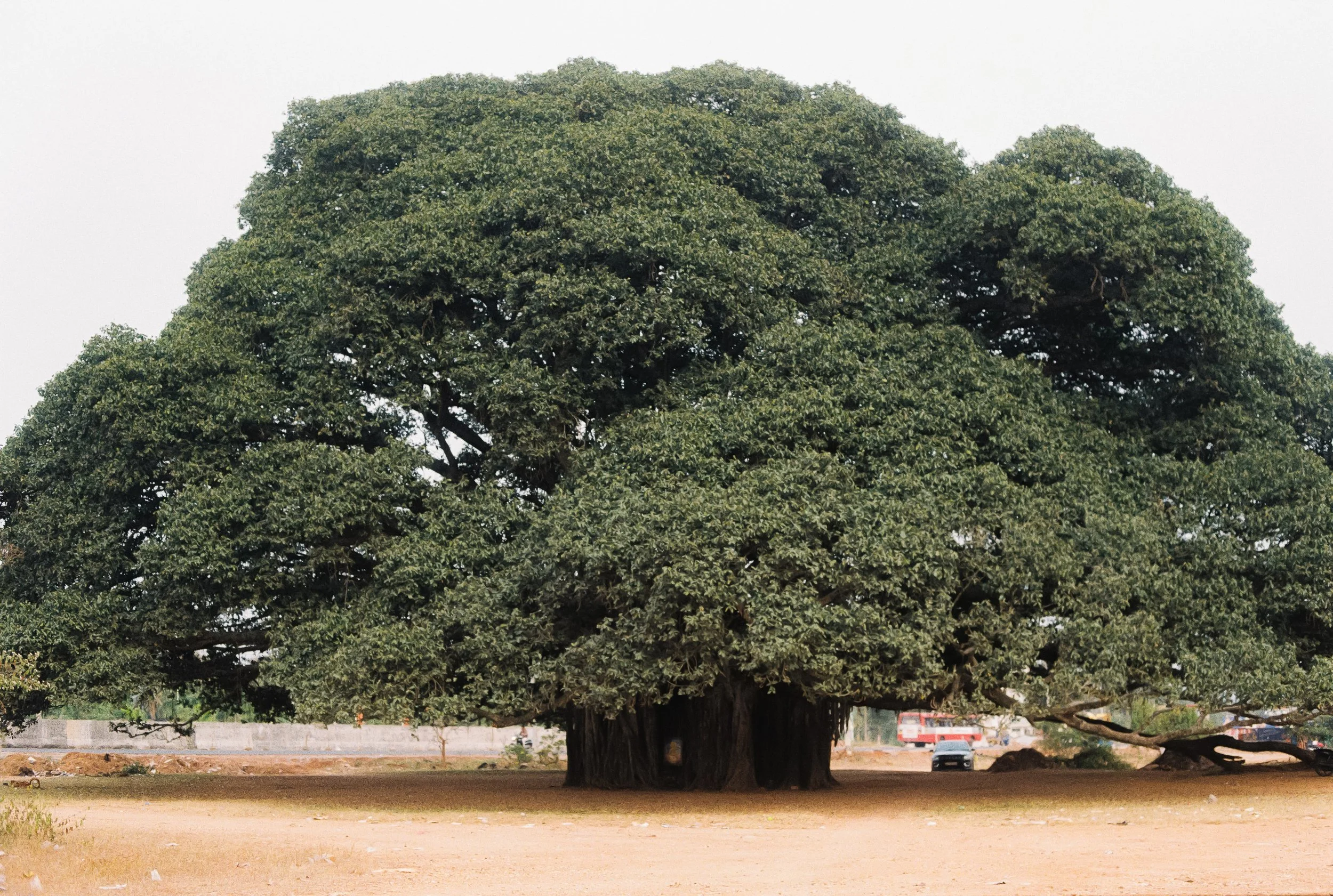 India_Test_0021-2.jpg